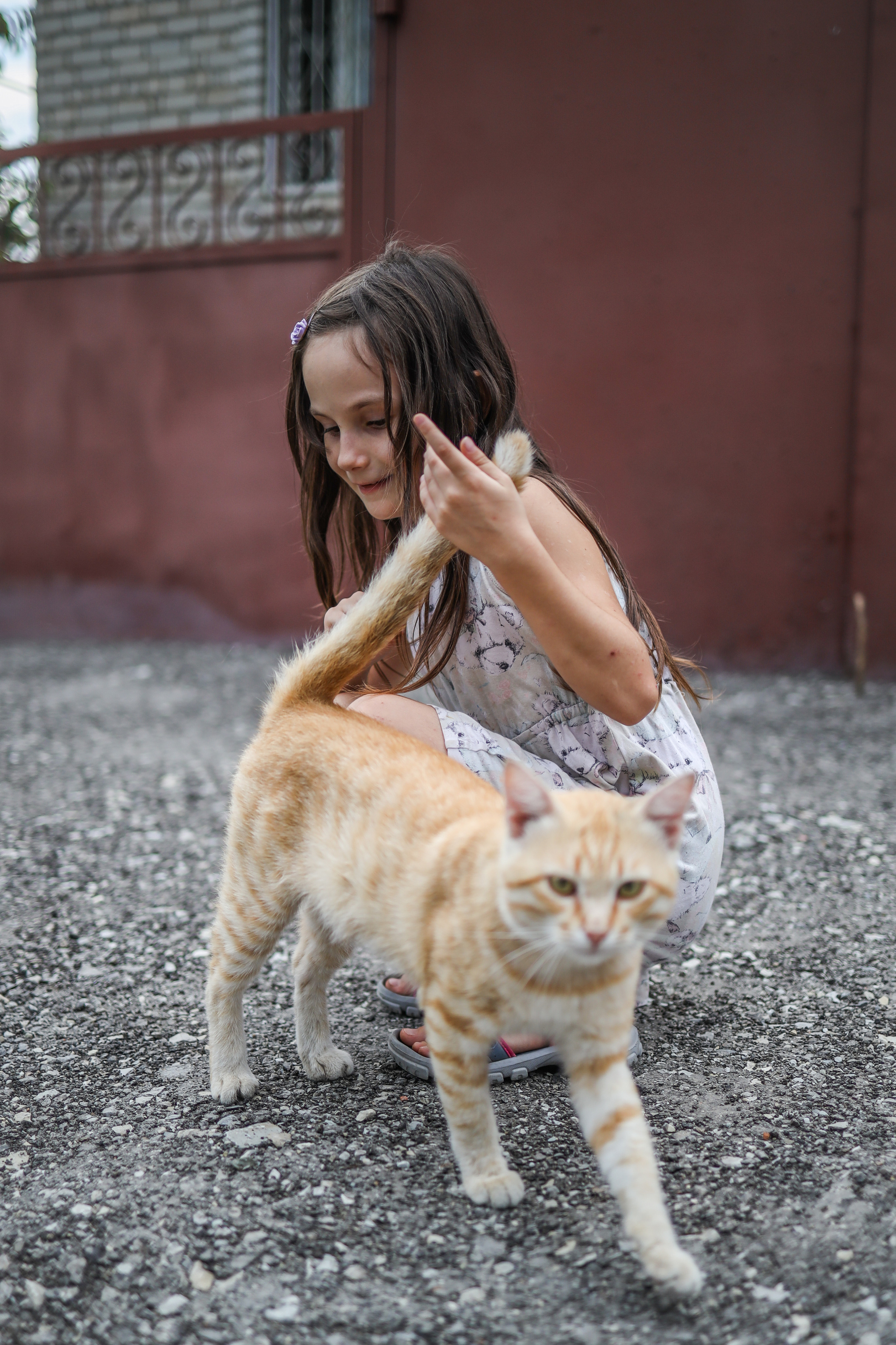 История про Василису и кису. Фотограф Юля Постнова