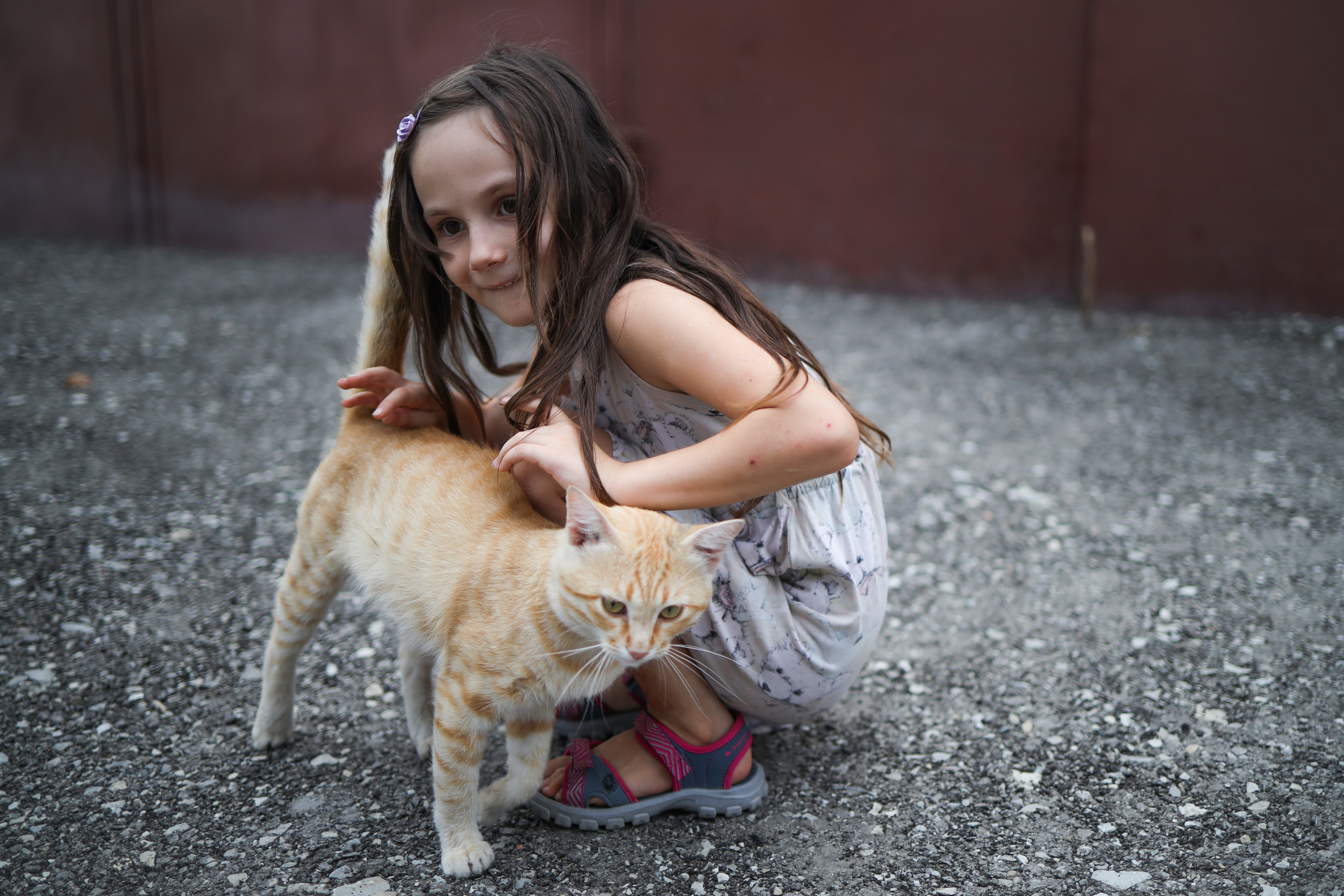 История про Василису и кису. Фотограф Юля Постнова