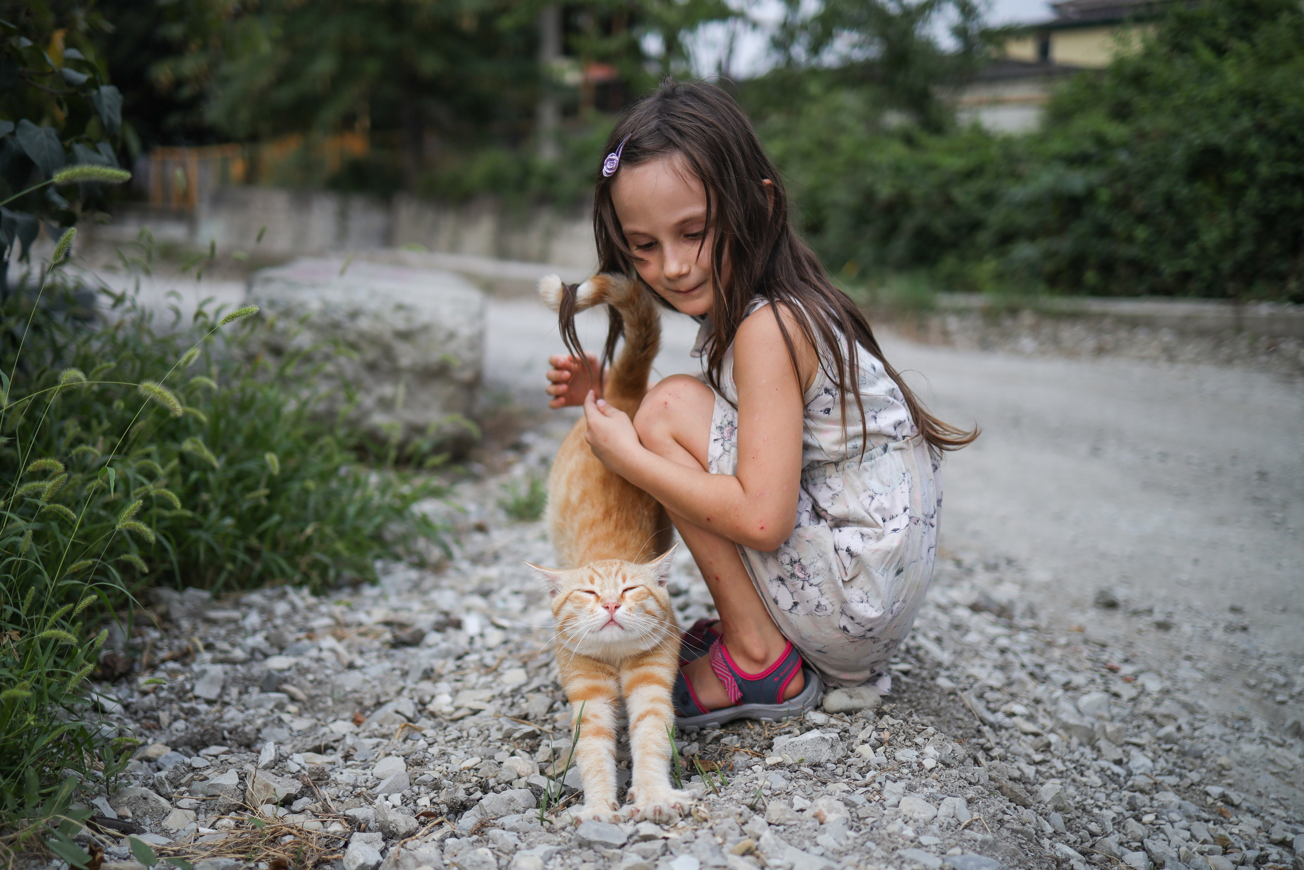 История про Василису и кису. Фотограф Юля Постнова