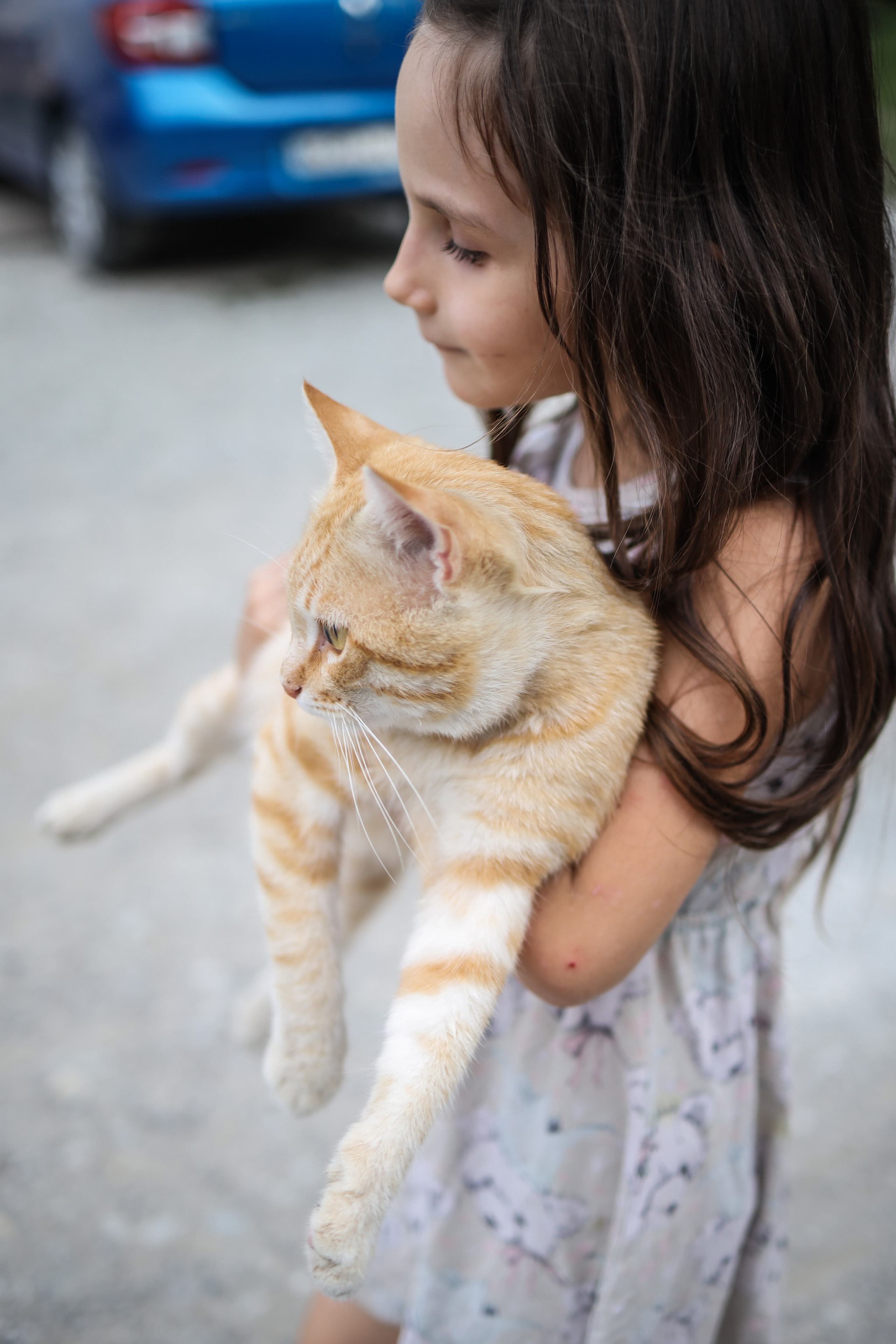 История про Василису и кису. Фотограф Юля Постнова