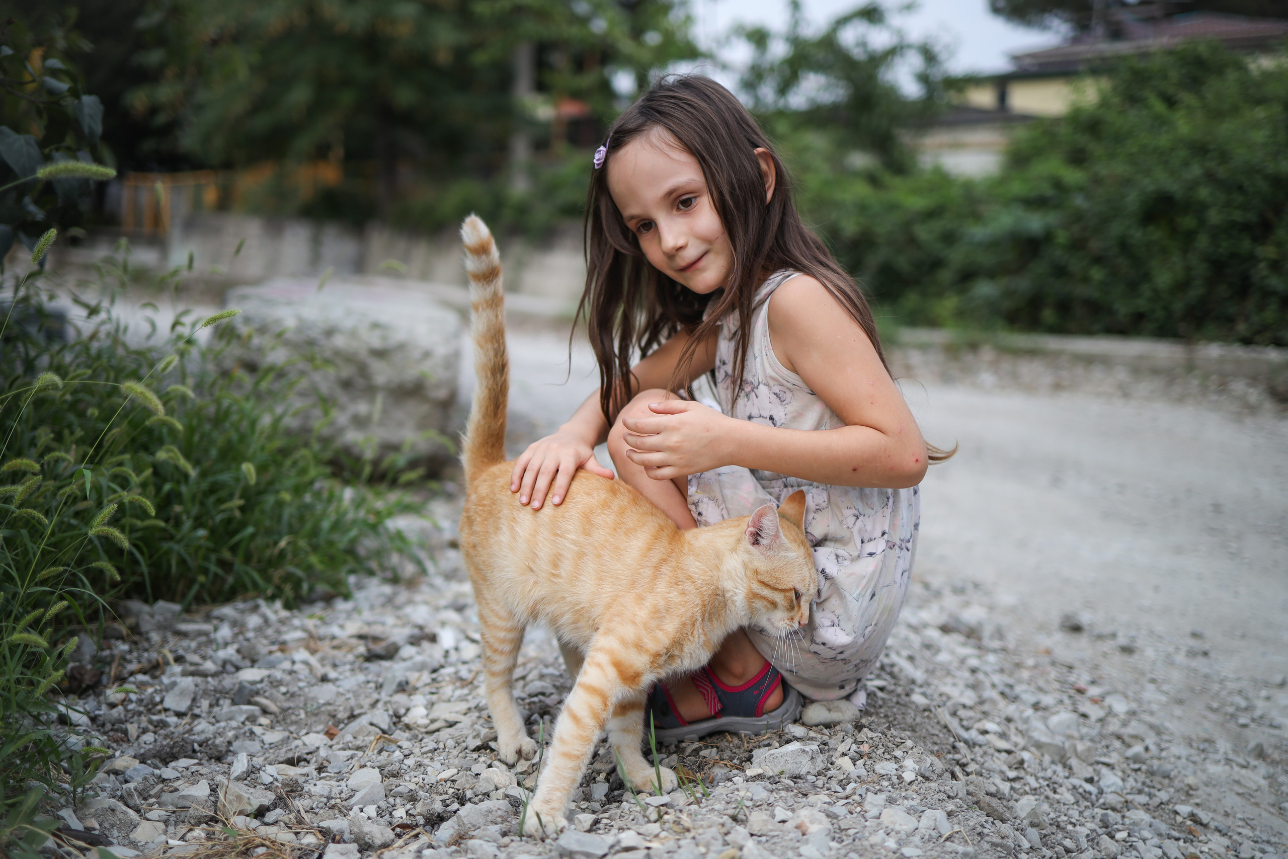 История про Василису и кису. Фотограф Юля Постнова