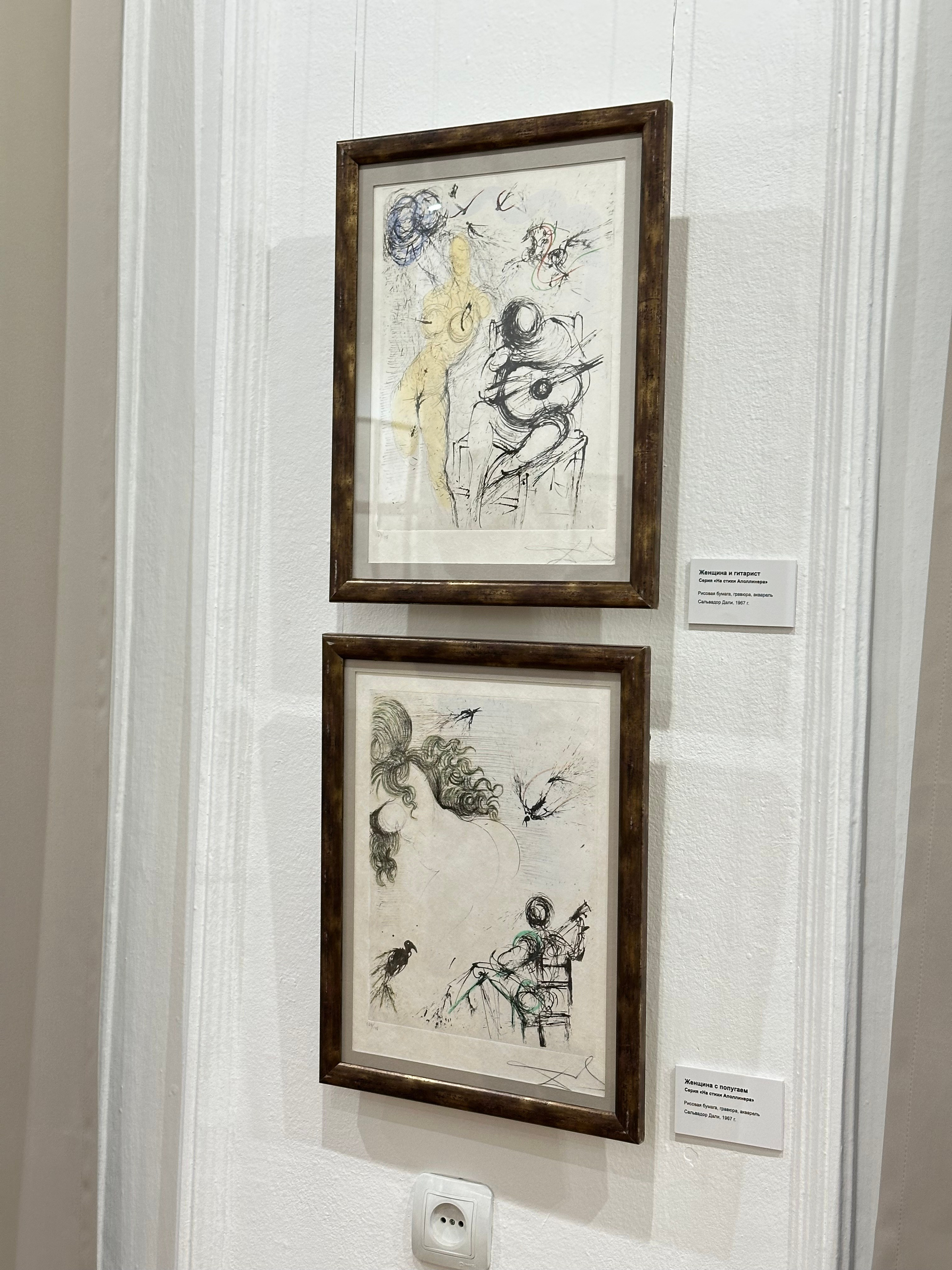 Выставка Дали & Пикассо. Фотосессии и репортаж — Фотограф в Москве — Рина Серёгина