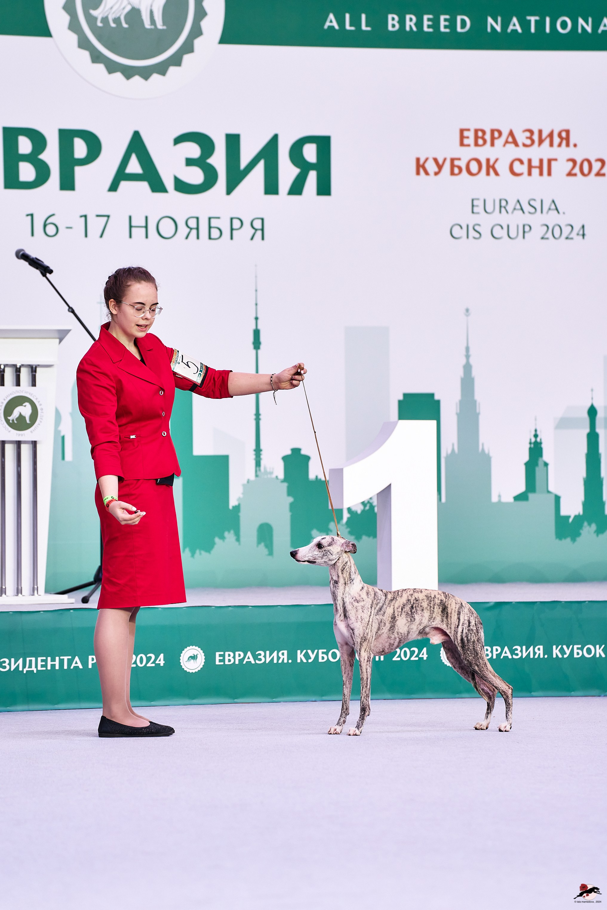 16.11.2024 «ЕВРАЗИЯ. КУБОК ПРЕЗИДЕНТА РКФ 2024»