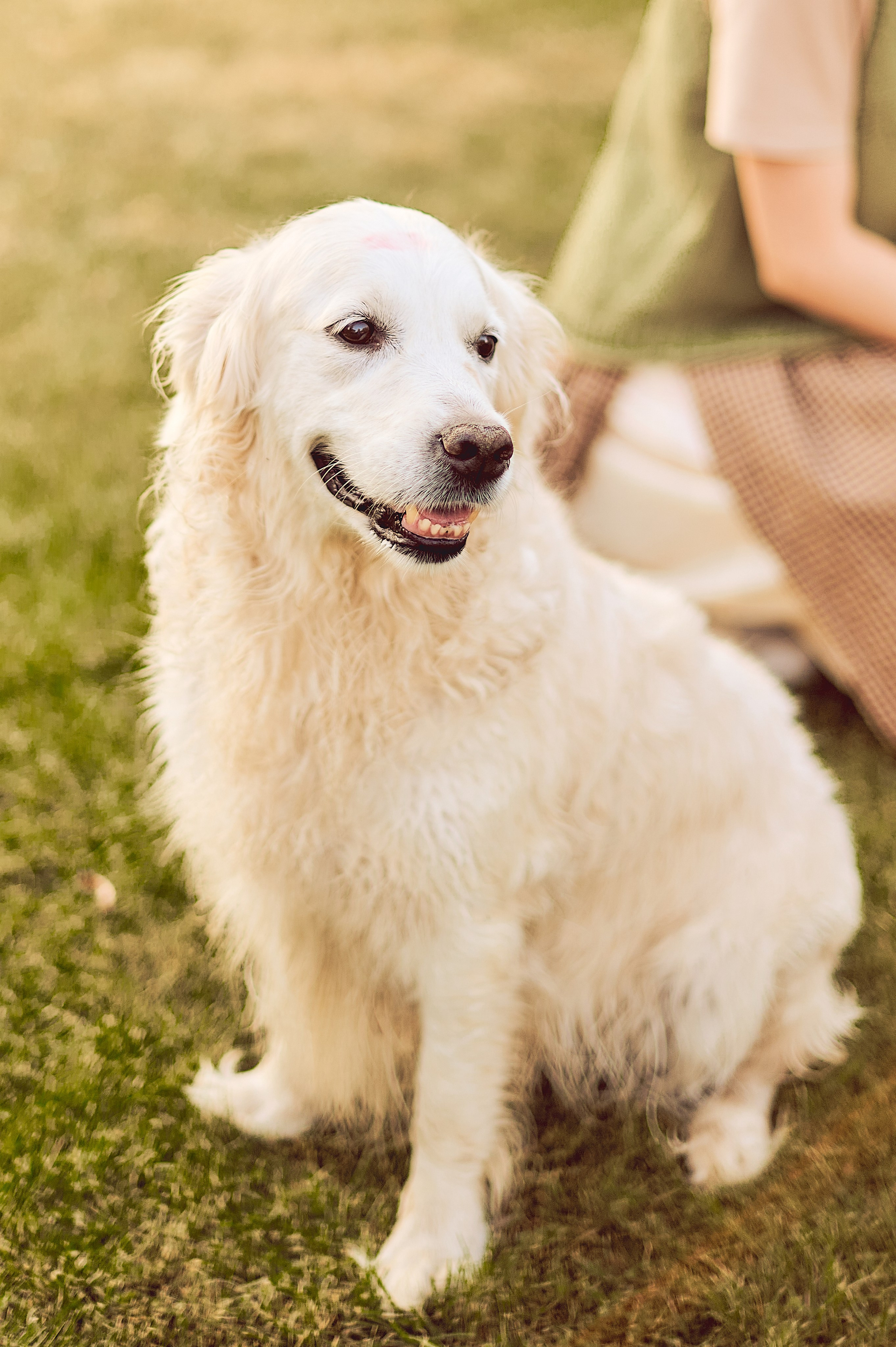 МАРТУШЕ 18. Свадебный и семейный фотограф РИТА БОЧКАРЁВА