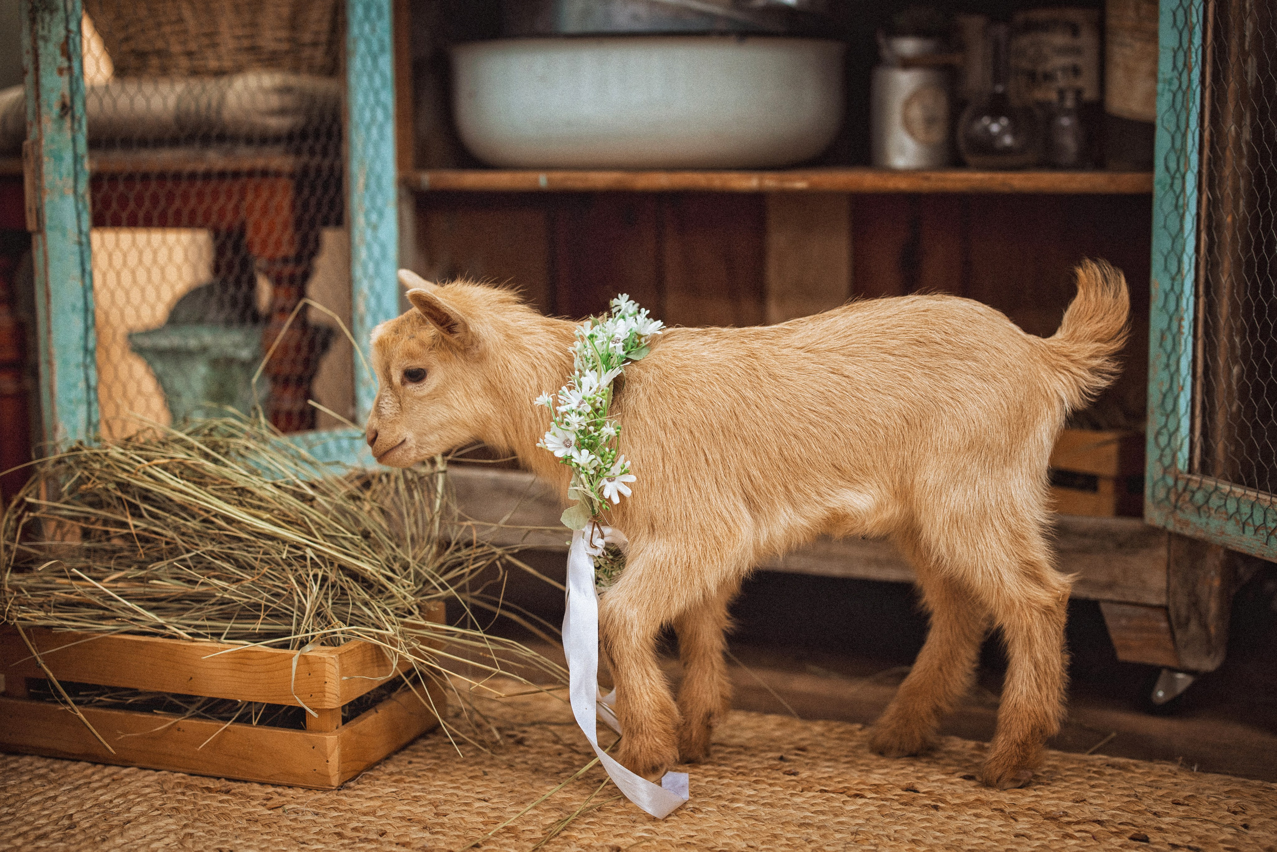 Пасхальные фотосессии в фотостудии Ольги Сурухановой, город Краснодар. Семейный и детский фотограф в Краснодаре Анна Трашкова