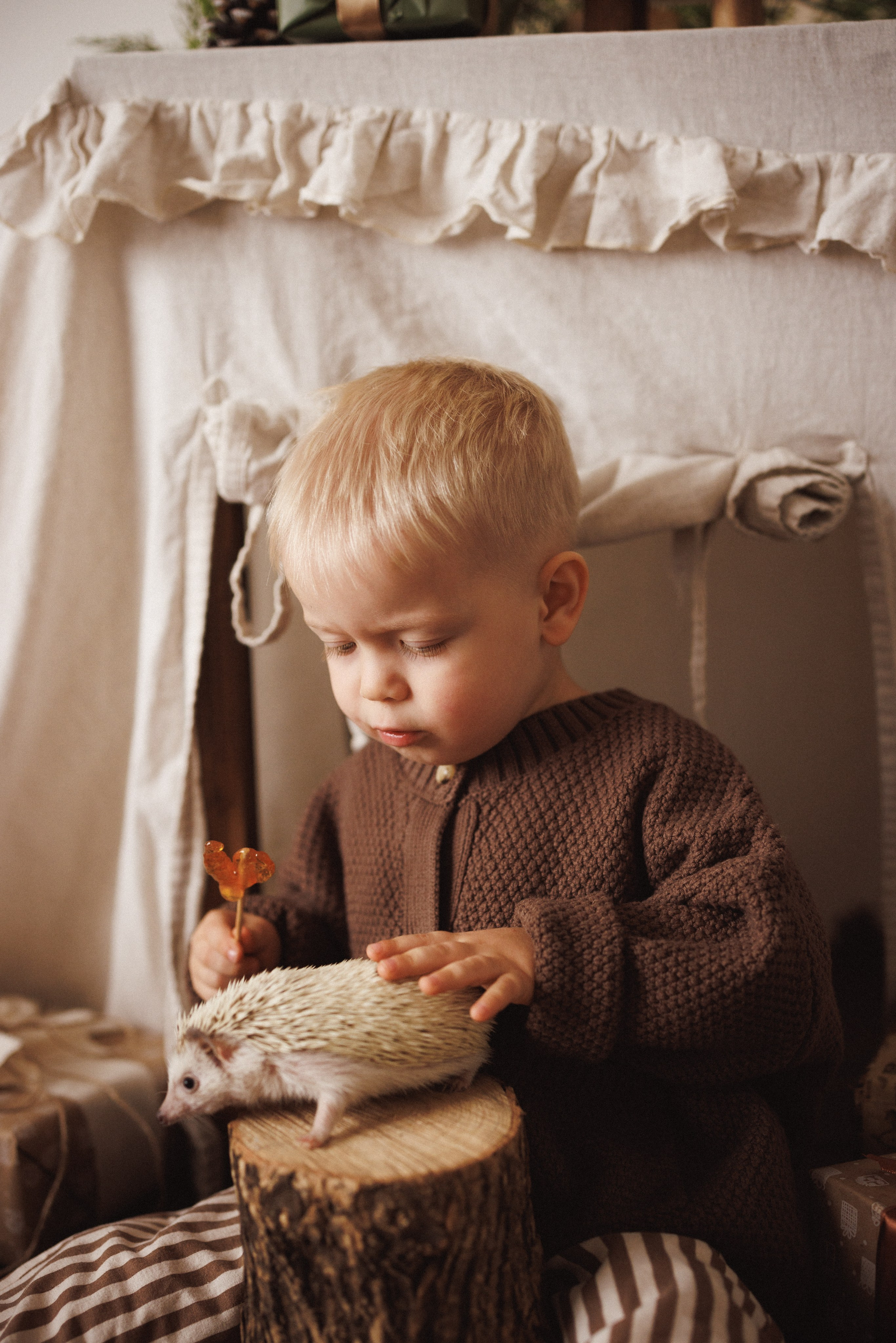 Новогодняя фотосессия в фотостудии «Mestone», город Краснодар. Семейный и детский фотограф в Краснодаре Анна Трашкова