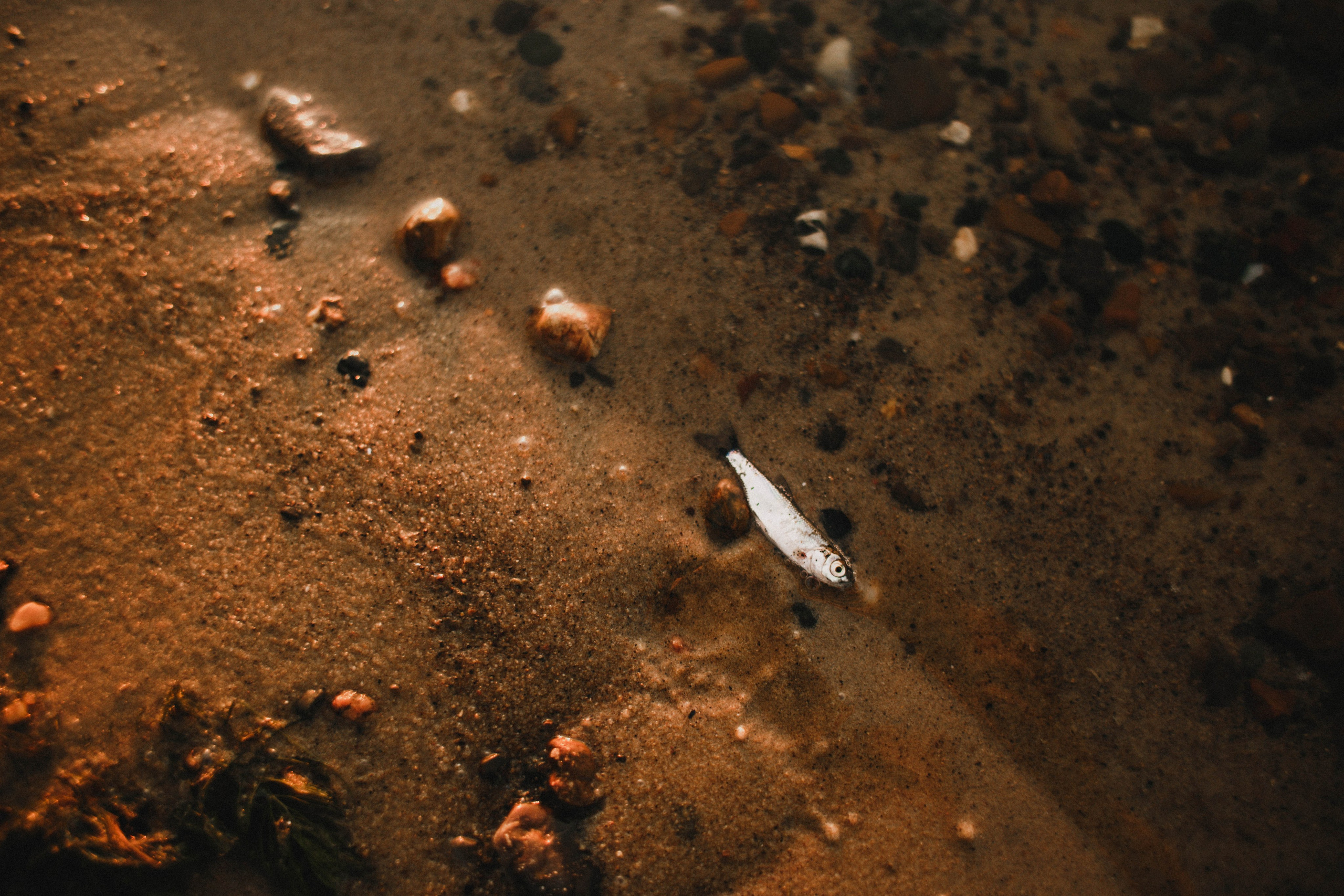 Ирина. Закат на реке. Фотограф в Нижнем Новгороде