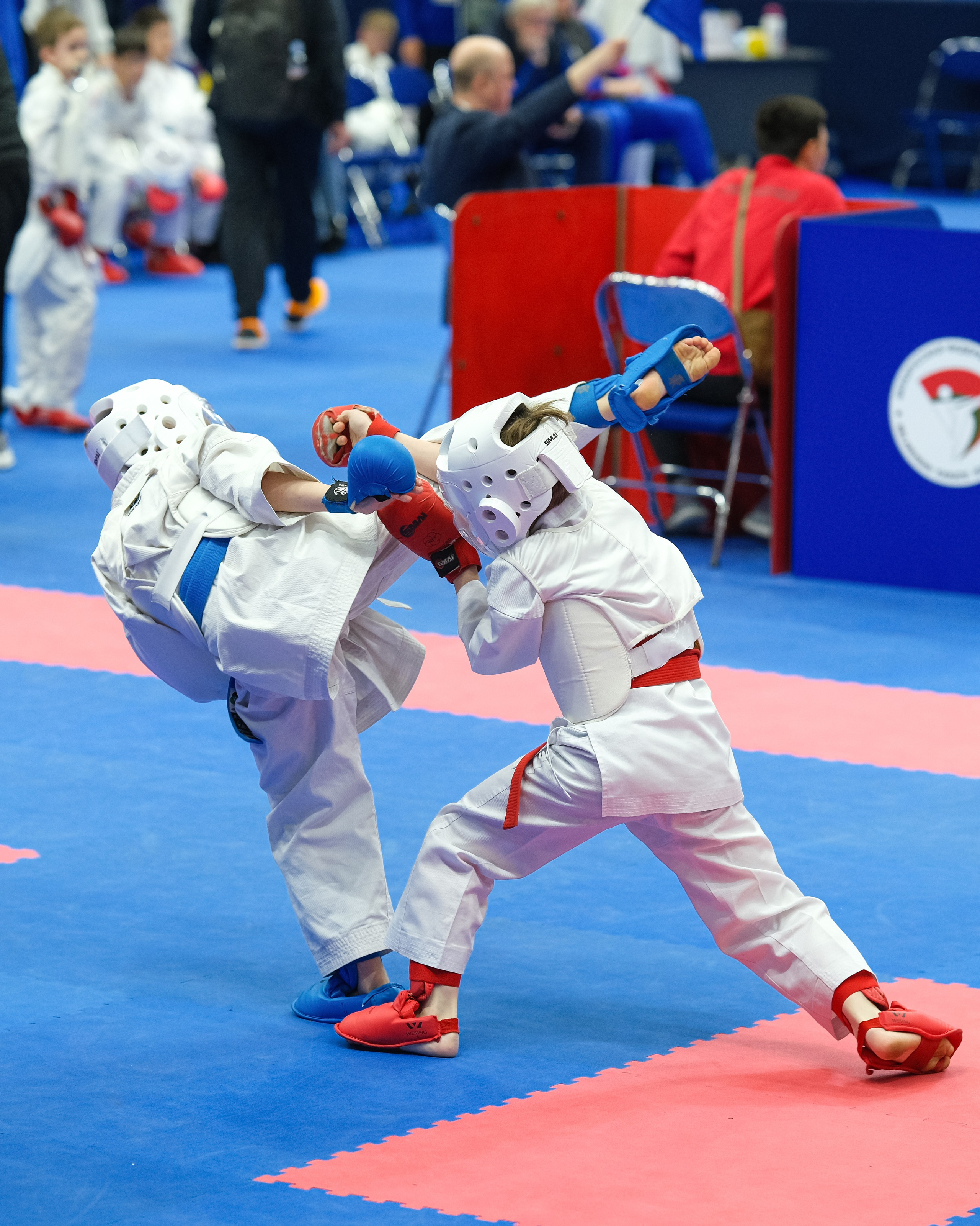 Международный турнир по карате «Belarus Open». Https://www.instagram.com/paparrazzio