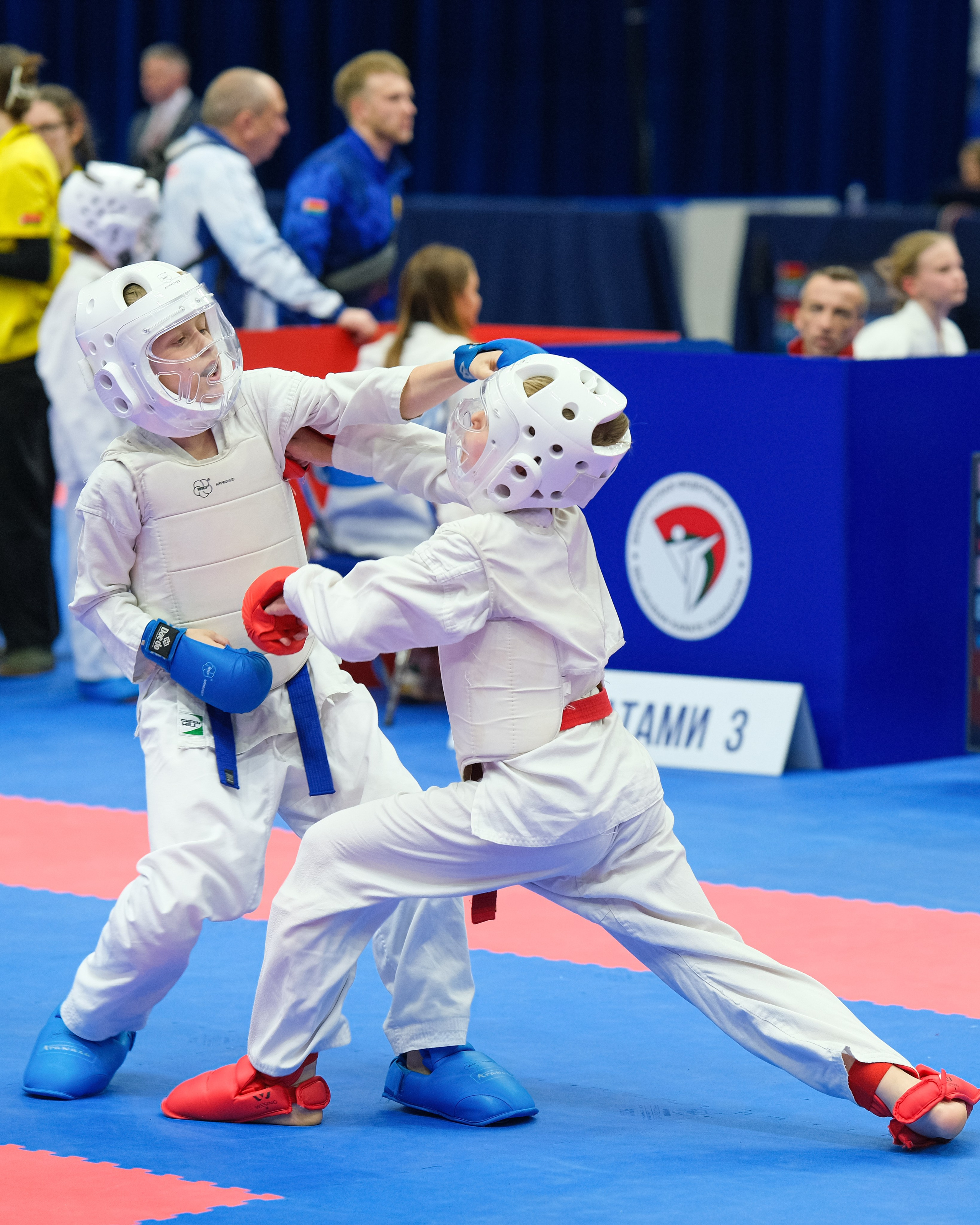 Международный турнир по карате «Belarus Open». Https://www.instagram.com/paparrazzio
