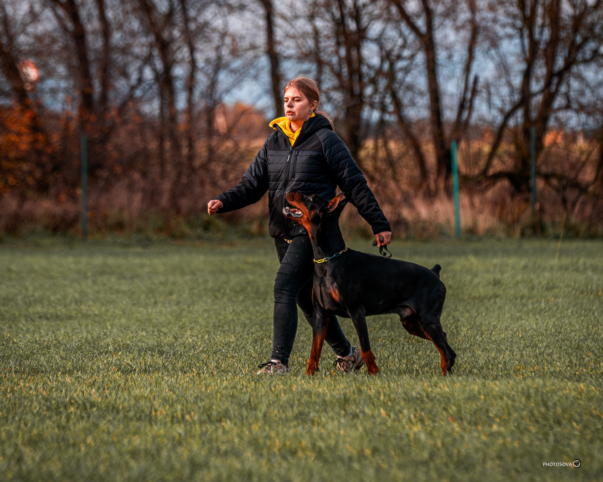 МЫ — КОМАНДА (соревнования) OKD, BH, IBGH, IGP. Фотограф-анималист, семейный фотограф в Москве и Подмосковье. Фотосъёмка кинологических дисциплин