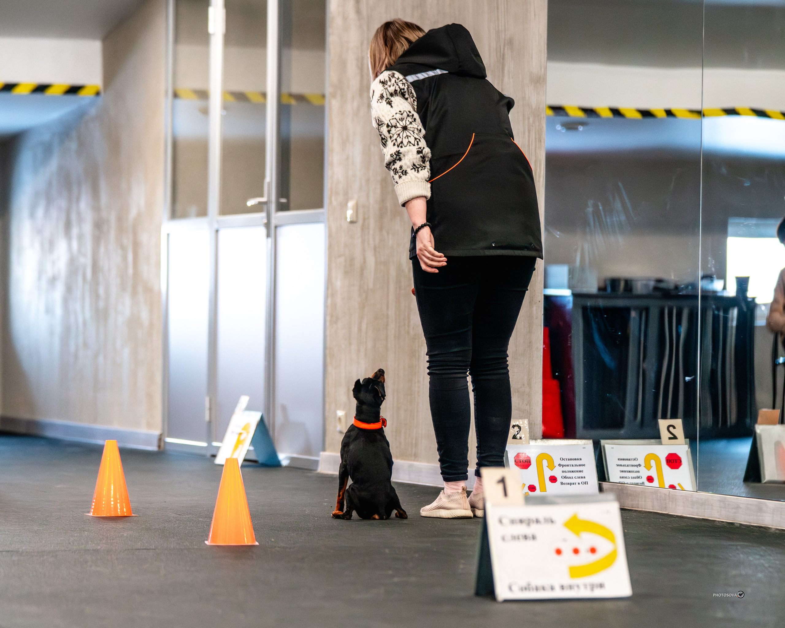 ТЫ И Я (соревнования по ралли-обидиенс). Фотограф-анималист, семейный фотограф в Москве и Подмосковье. Фотосъёмка кинологических дисциплин