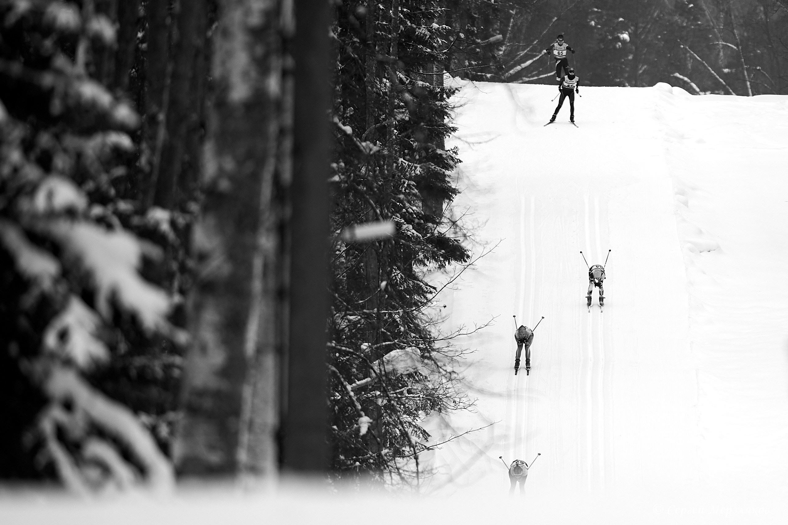 Лыжи. Спортивный репортажный фотограф в Ижевске Сергей Мерзляков