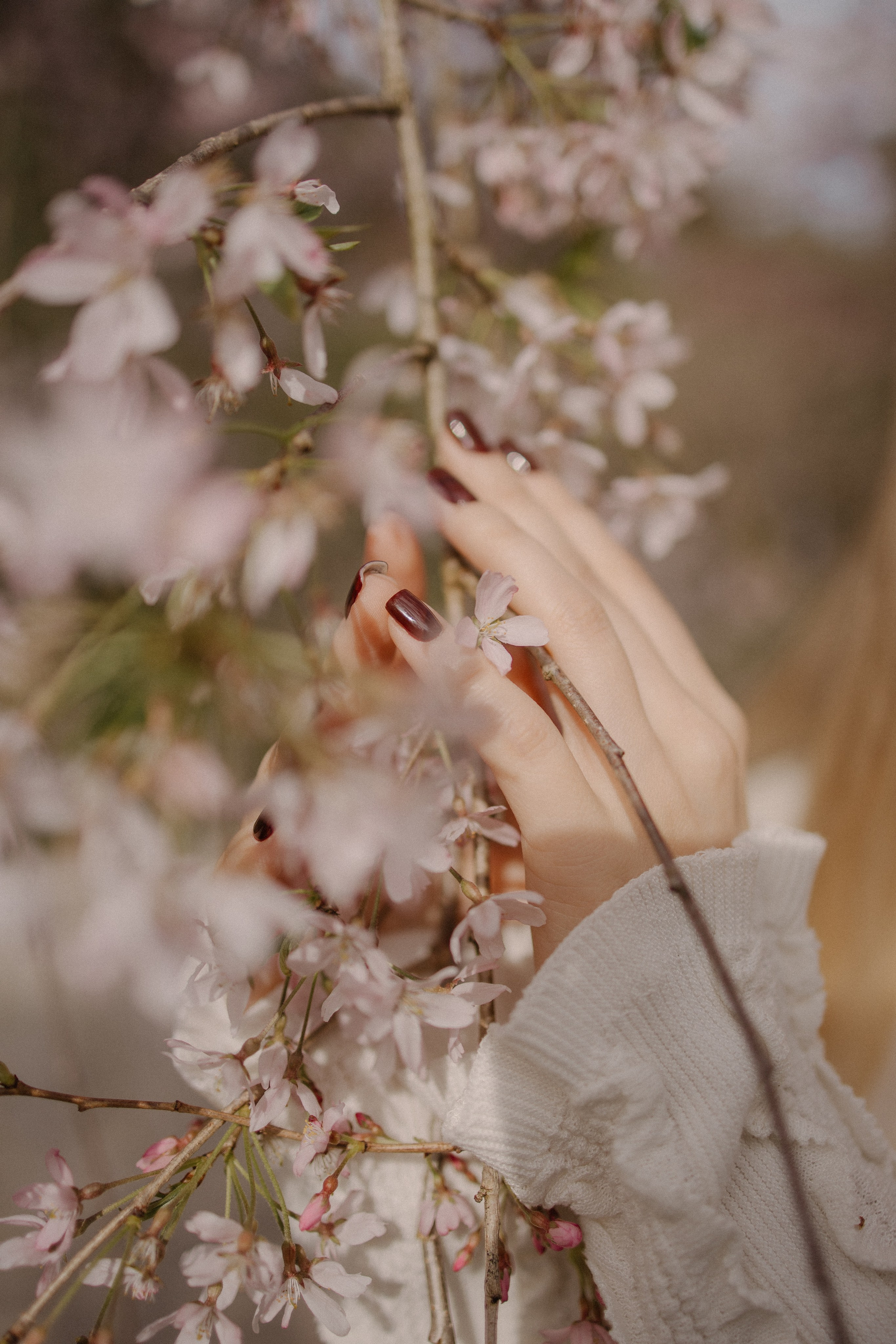 Света в сакуре. Фотограф Сочи Адлер Сириус Красная поляна Олеся Минив