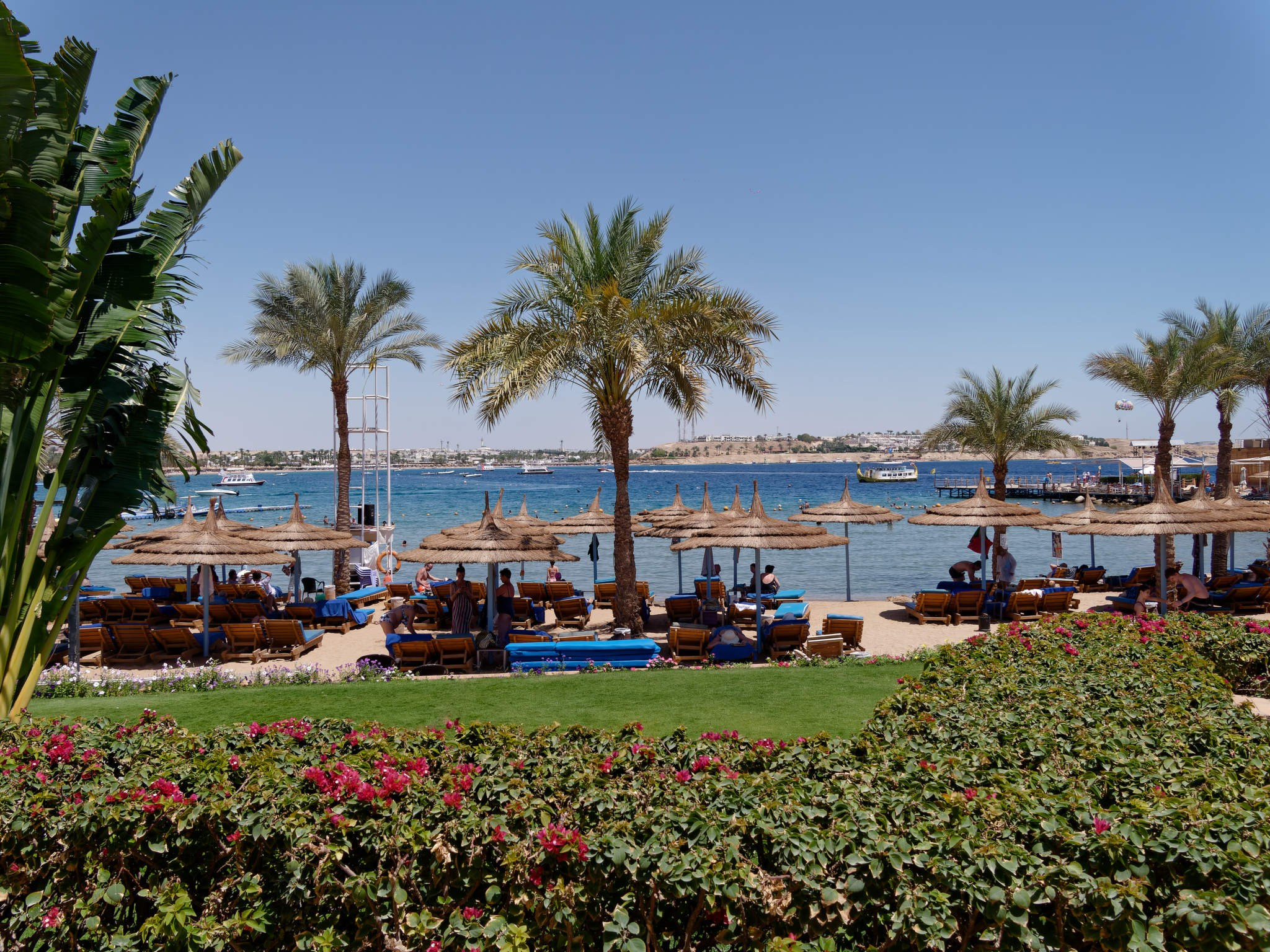 Шарм-эль-Шейх 2024. Избранные фотографии