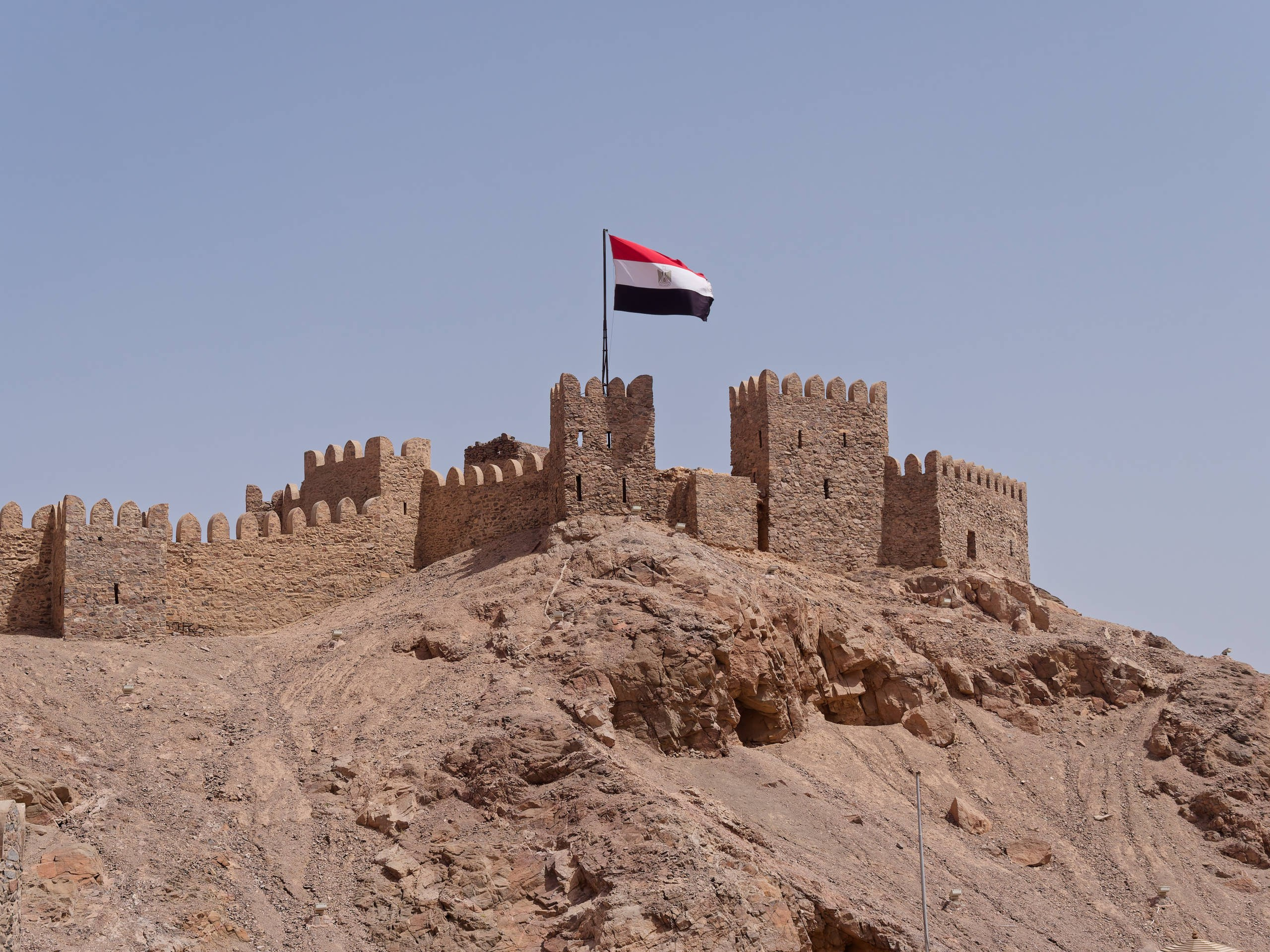 Шарм-эль-Шейх 2022, сафари. Избранные фотографии