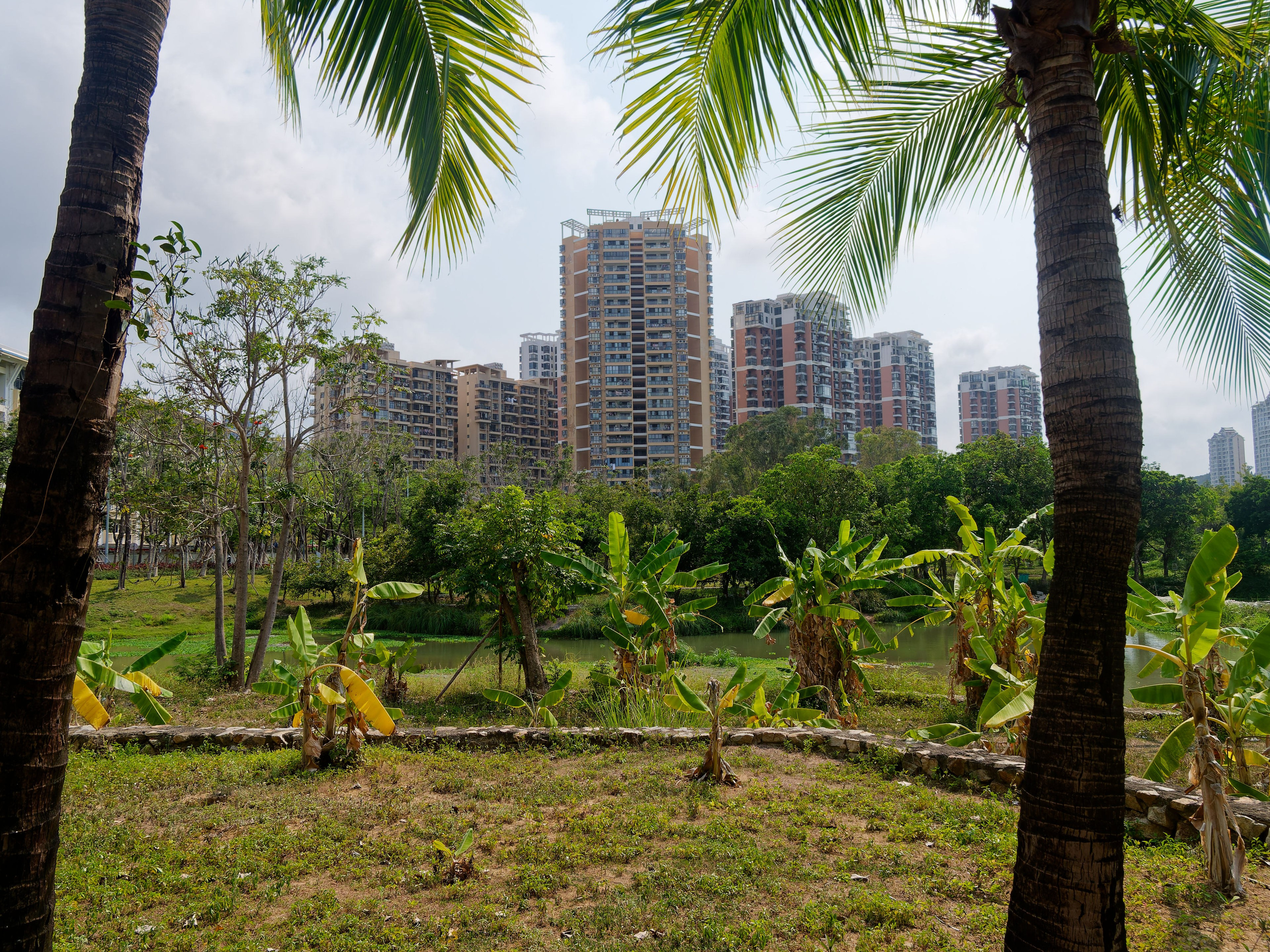 Хайнань 2026, улицы Ялунвань и Саньи. Фотопрогулки по Миру