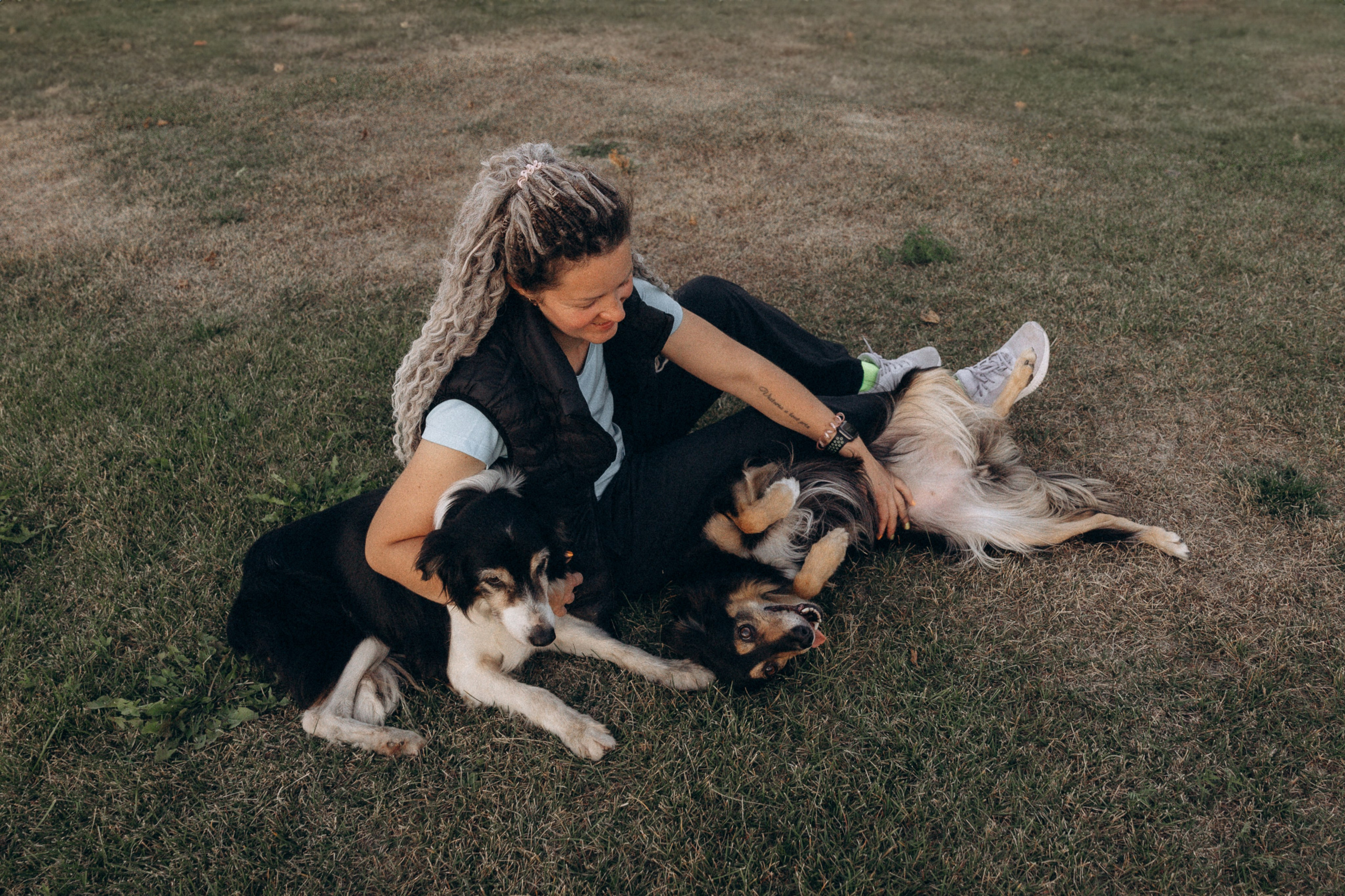 Алла и ее компания. Фотограф анималист в Казани Алина Сулейманова. Фотограф животных