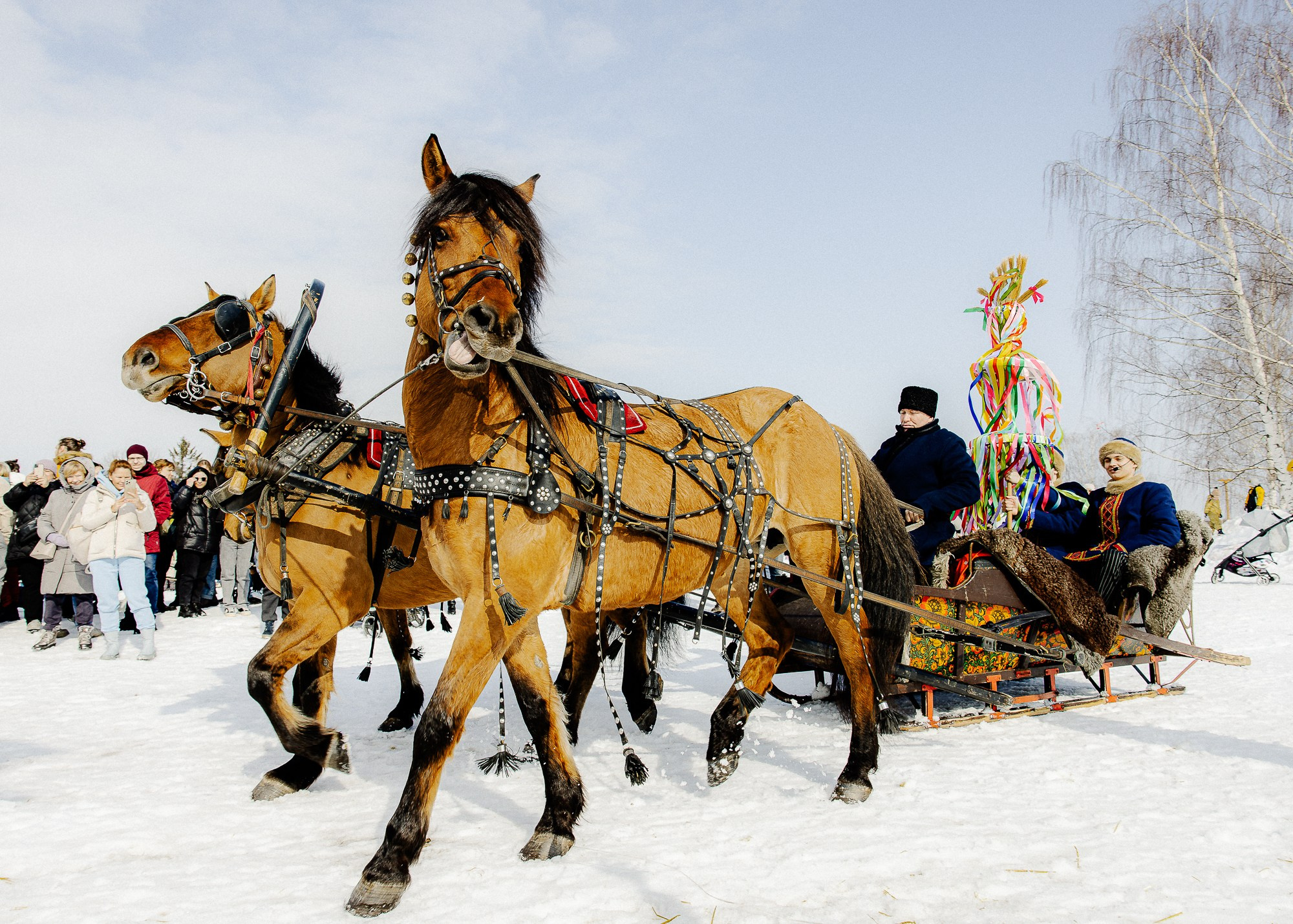 Масленица в Суздале