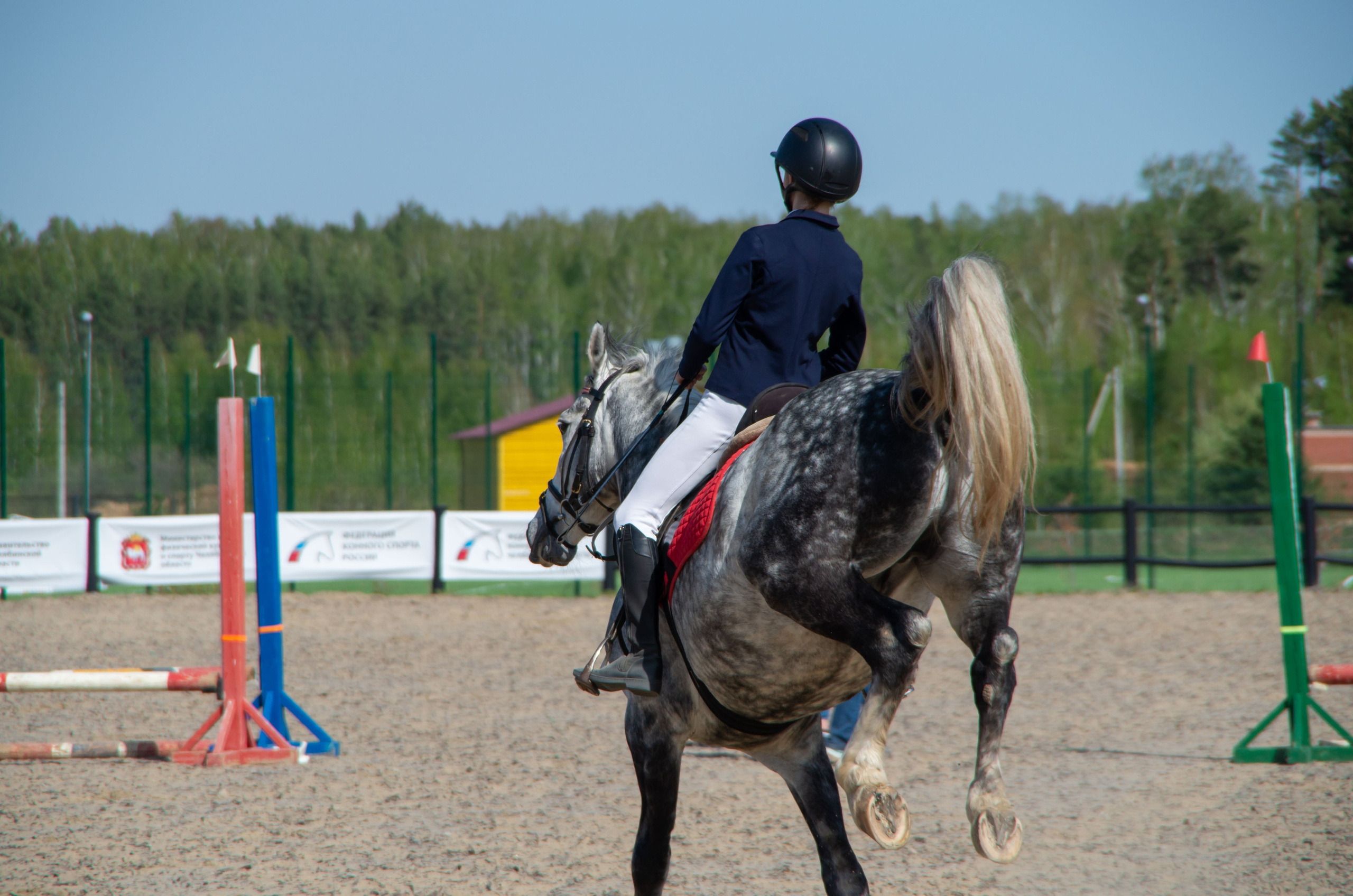 ДЕТИ & ЛОШАДИ. Фотограф Марина Доглядная Челябинск фотосессии с лошадьми, мотоциклами