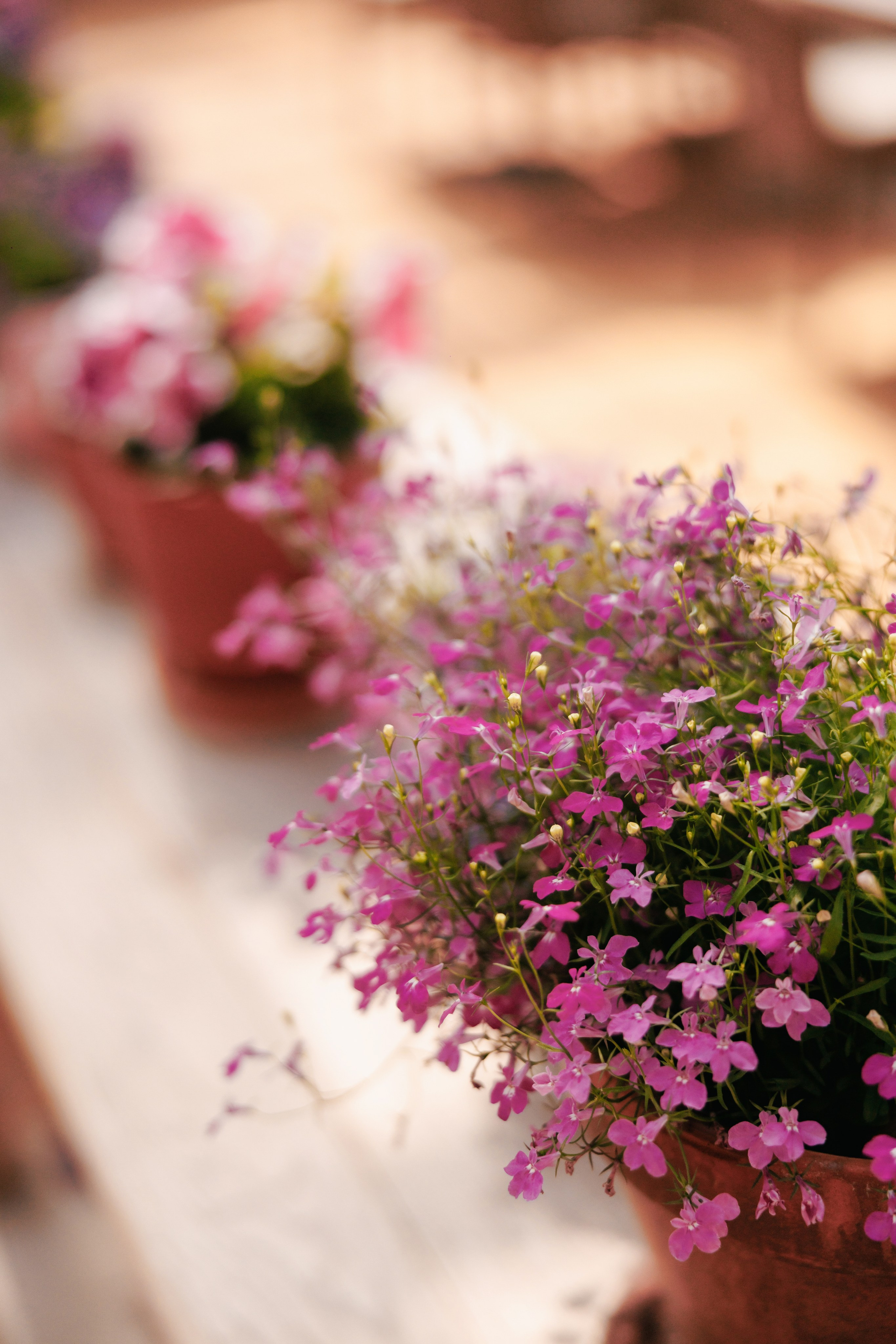 Пряности и радости на Васильевском острове. Репортажный фотограф в Санкт-Петербурге Жолудев Владислав