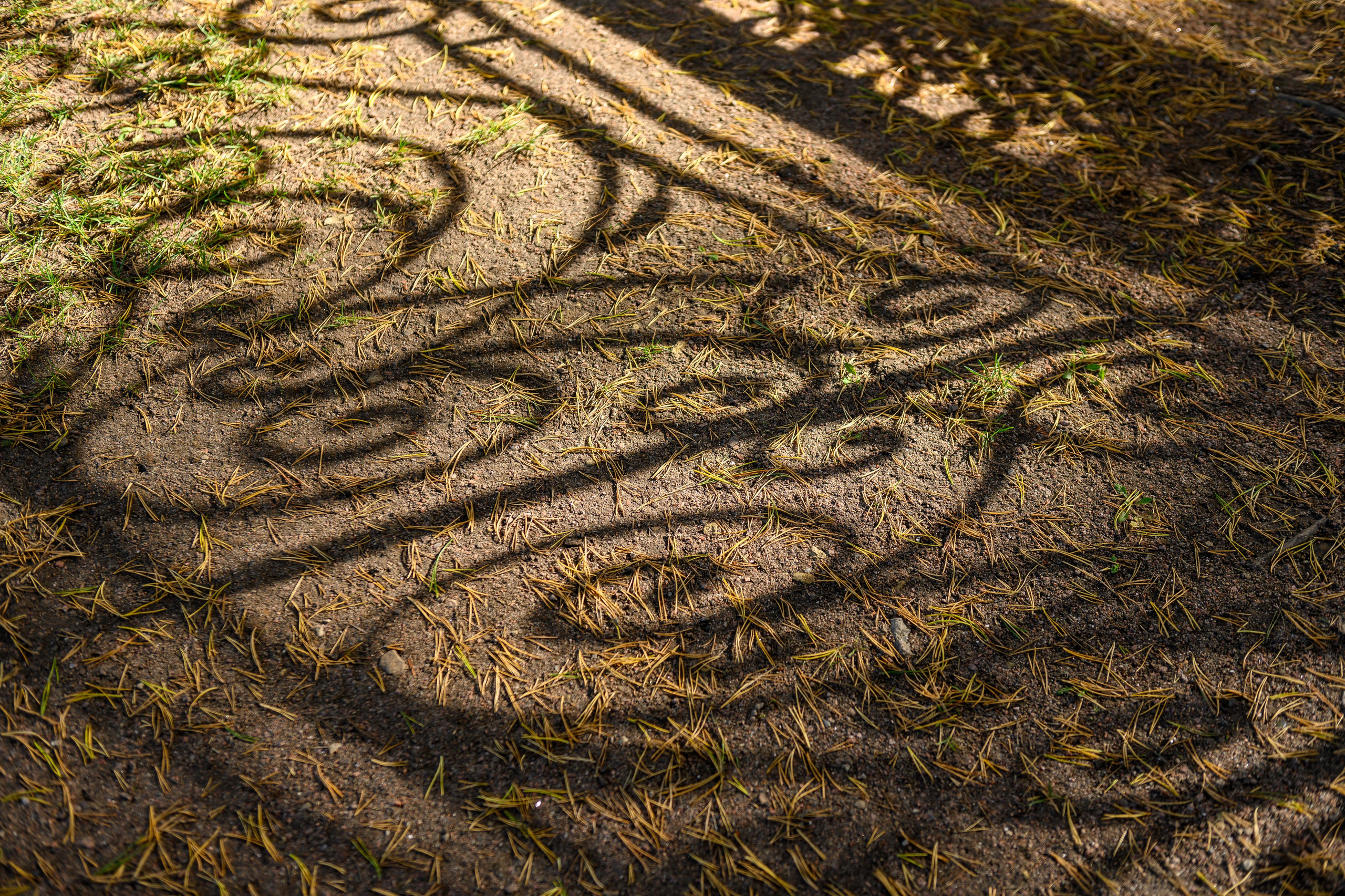 SAINT PETERSBURG | SUBURBS. Personal website of photographer Dmitry Raikin