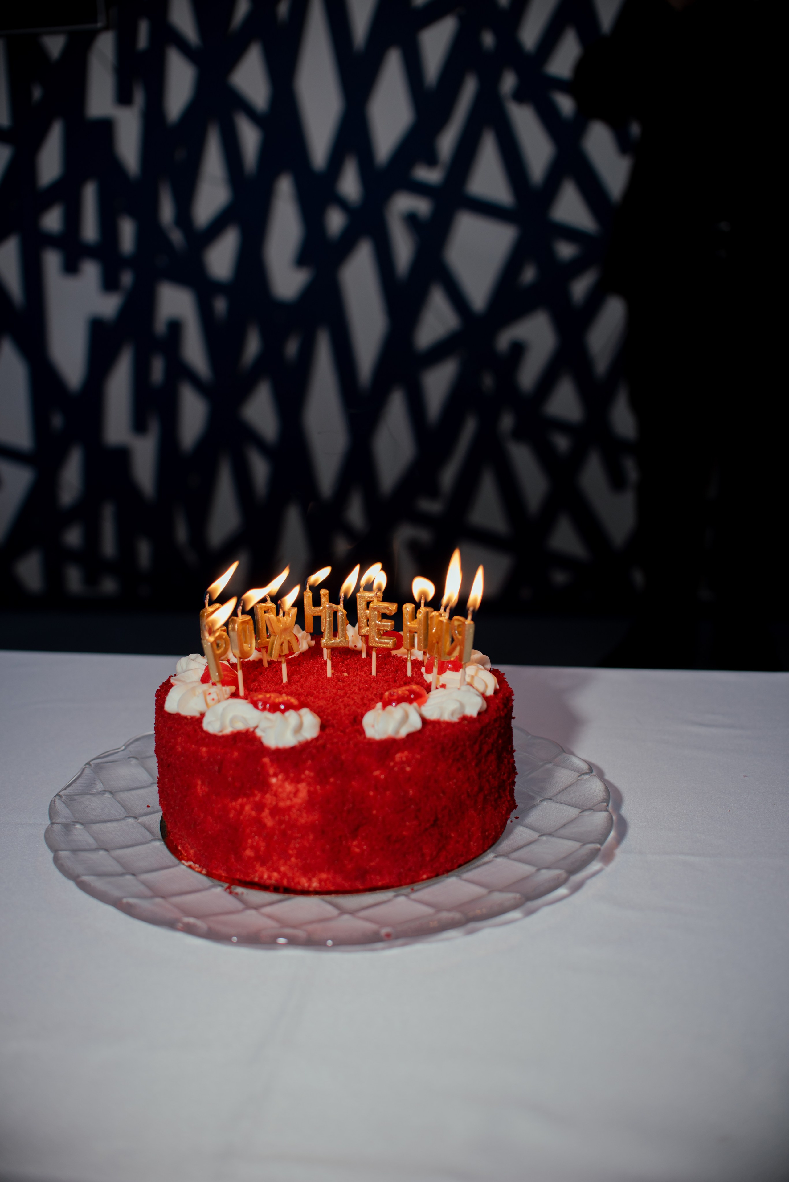 Юбилей в ресторане. Женский фотограф в Москве и МО