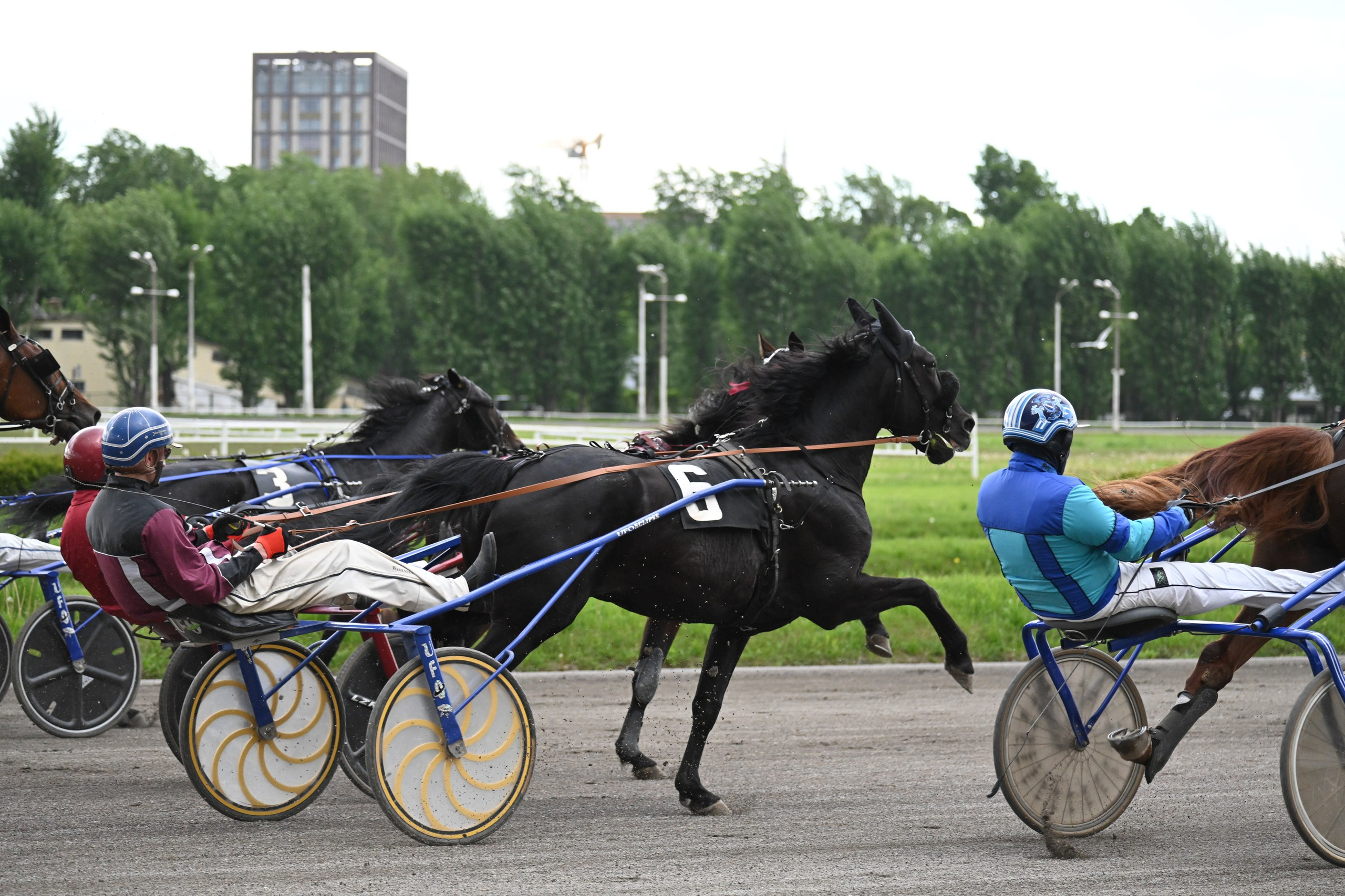 Московский ипподром. Fotolux