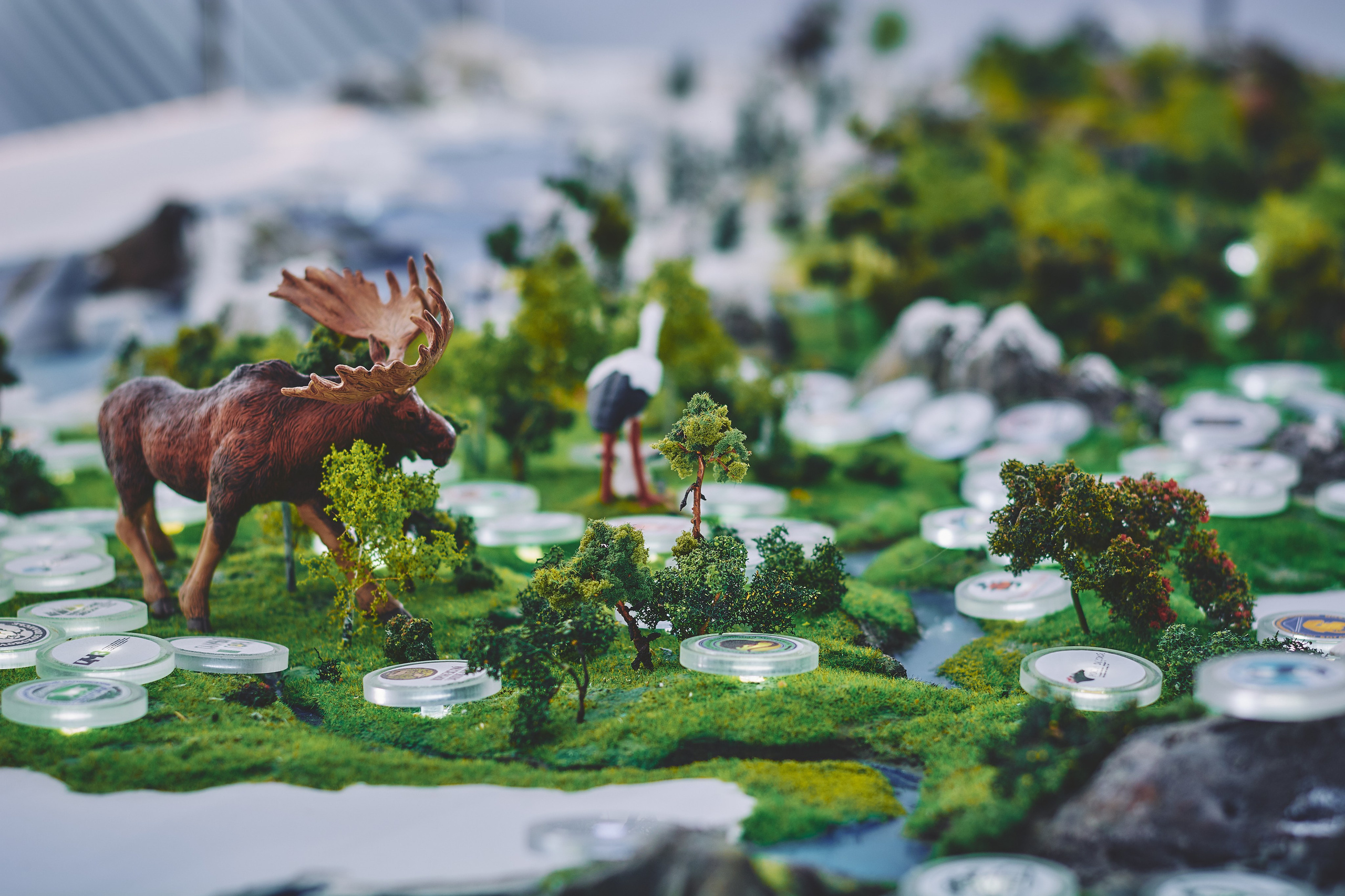 Интерьерная съемка Визит-центр Национальный парк «Кисловодский». Константин Кордонский | Интерьерный и food-фотограф в Кисловодске и КМВ