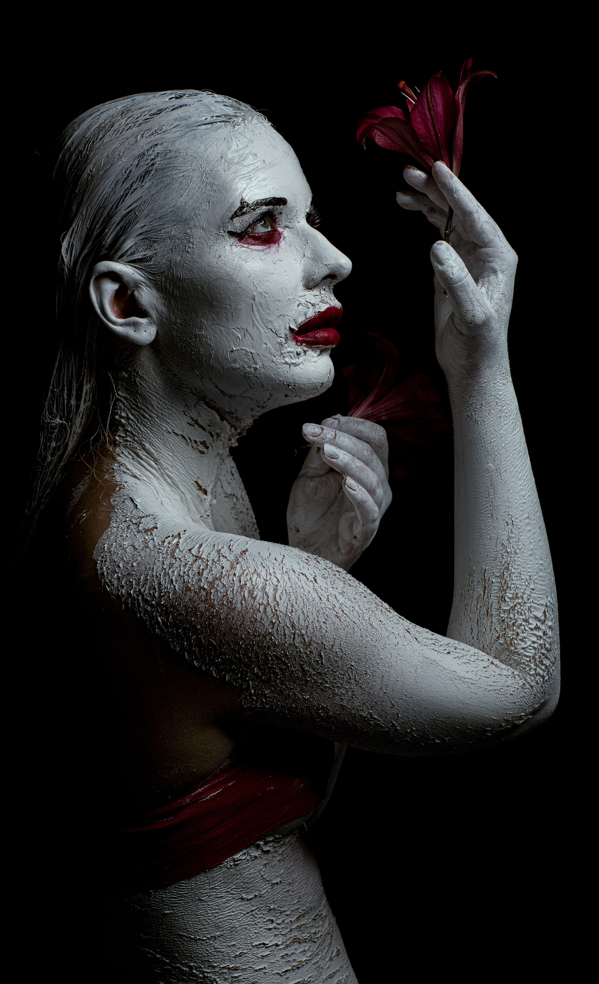 Кровавая лилия. Художественный Фотограф Тольятти