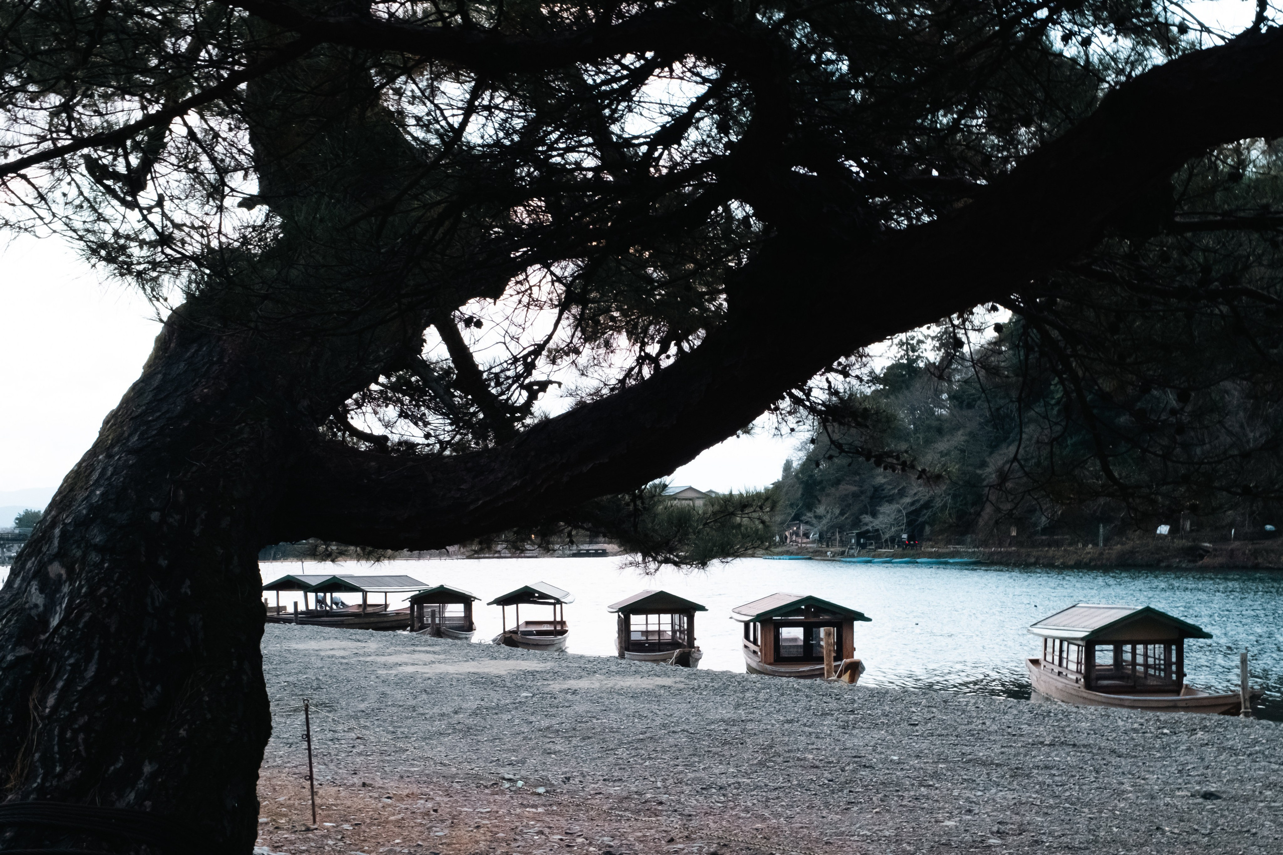 Kyoto. Regina Platonova