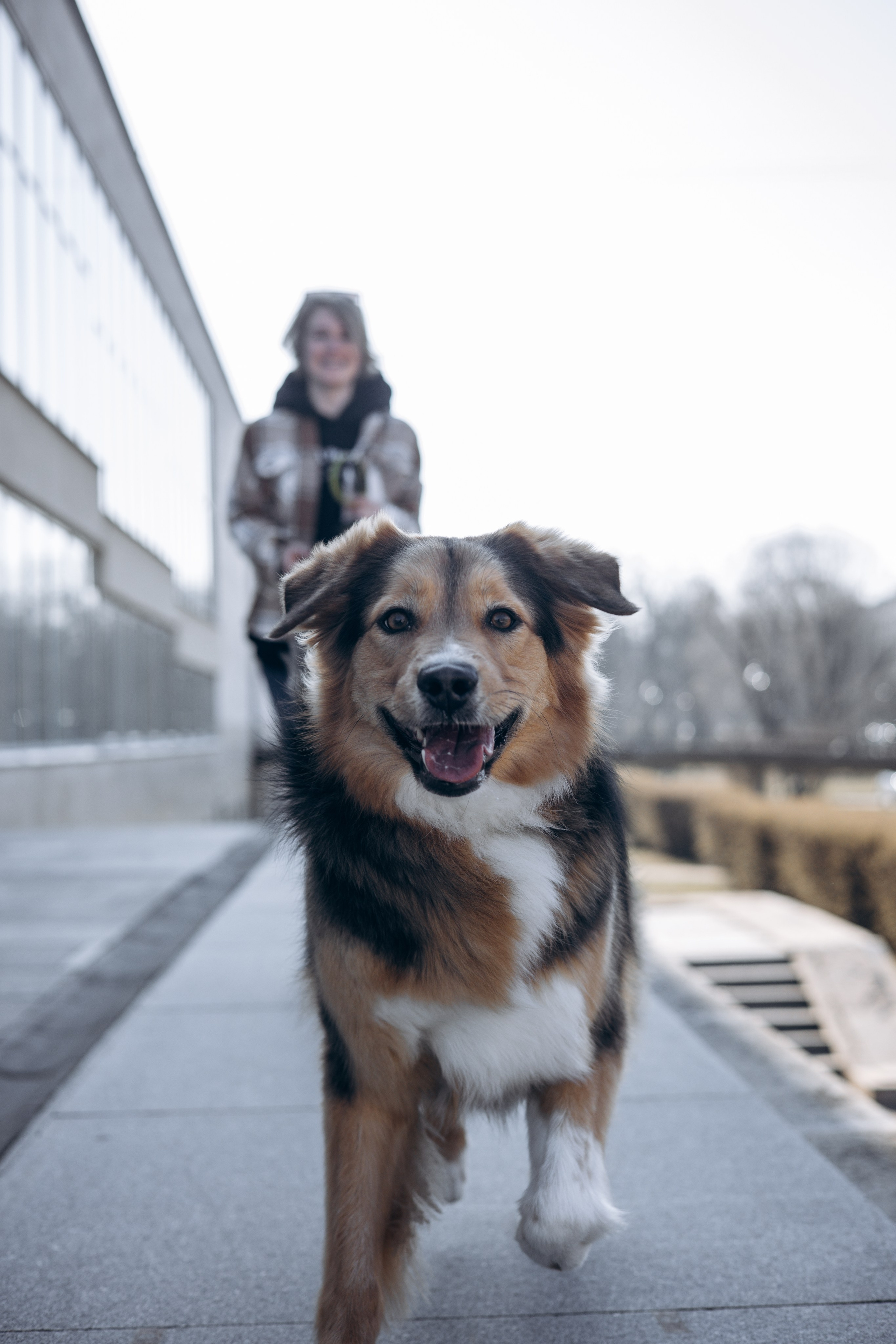Елена и Вега. Фотограф животных Евгения Верцинская