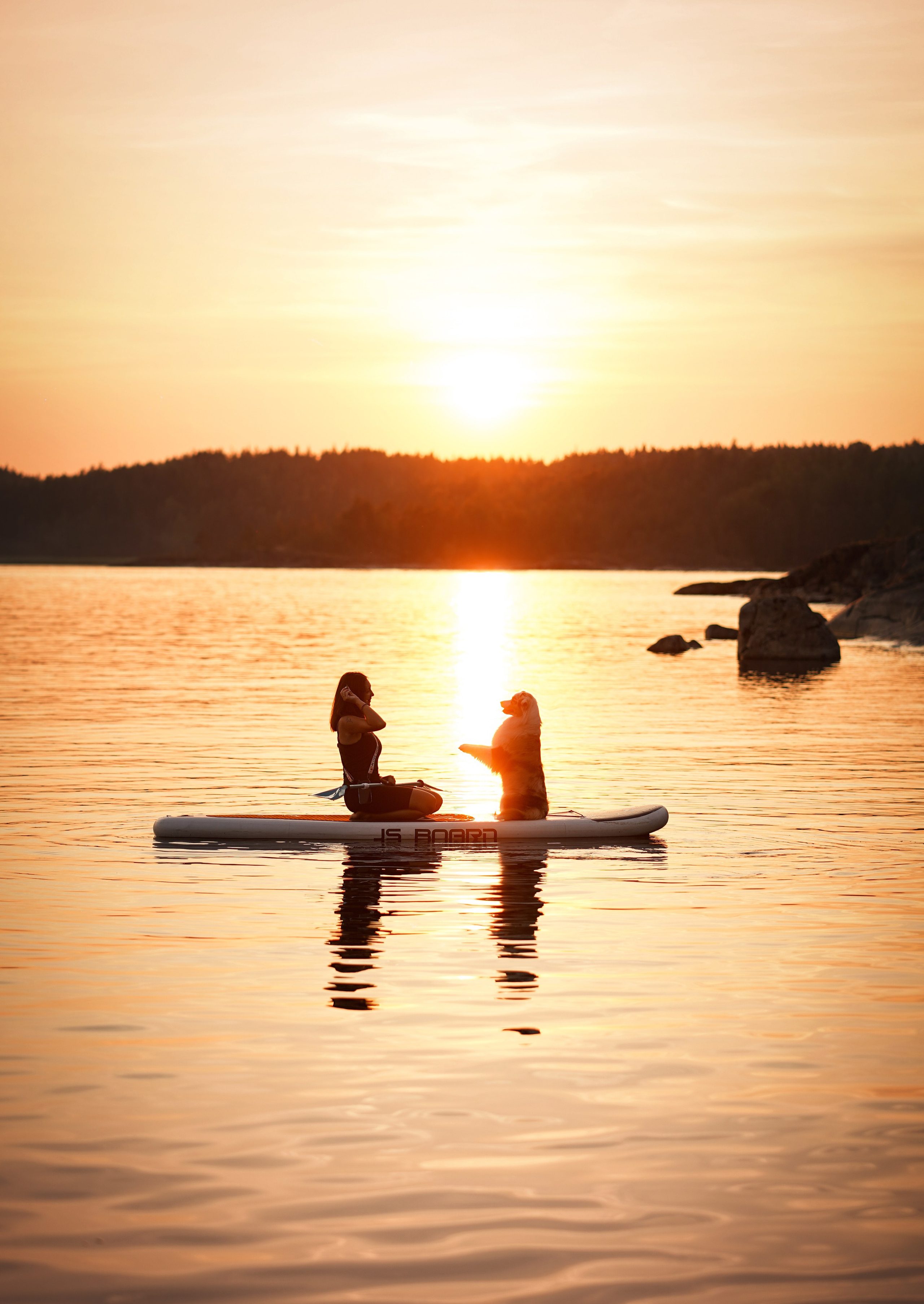Панда SUP. Фотограф-анималист в Санкт-Петербурге Яна Мартынова
