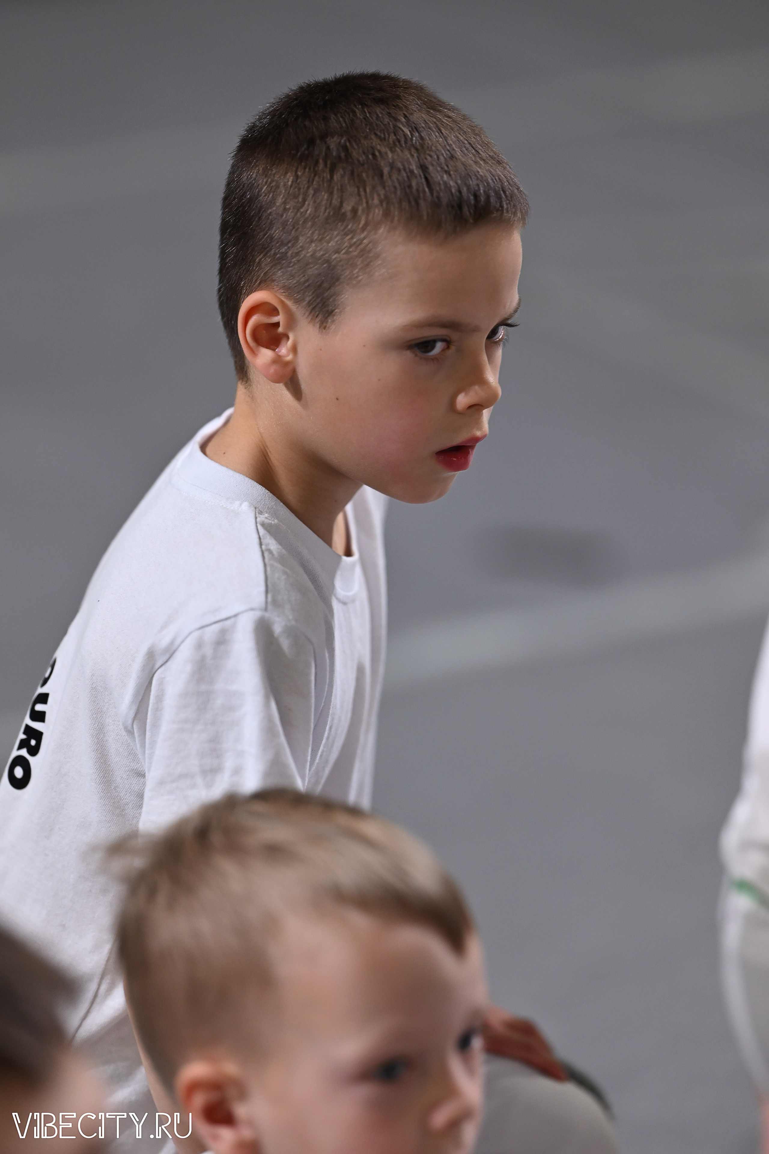 Капоэйра. Вручение поясов. VIBECITY.RU Вайб Сити Ру Фоторепортажи Фотоотчеты Калининград