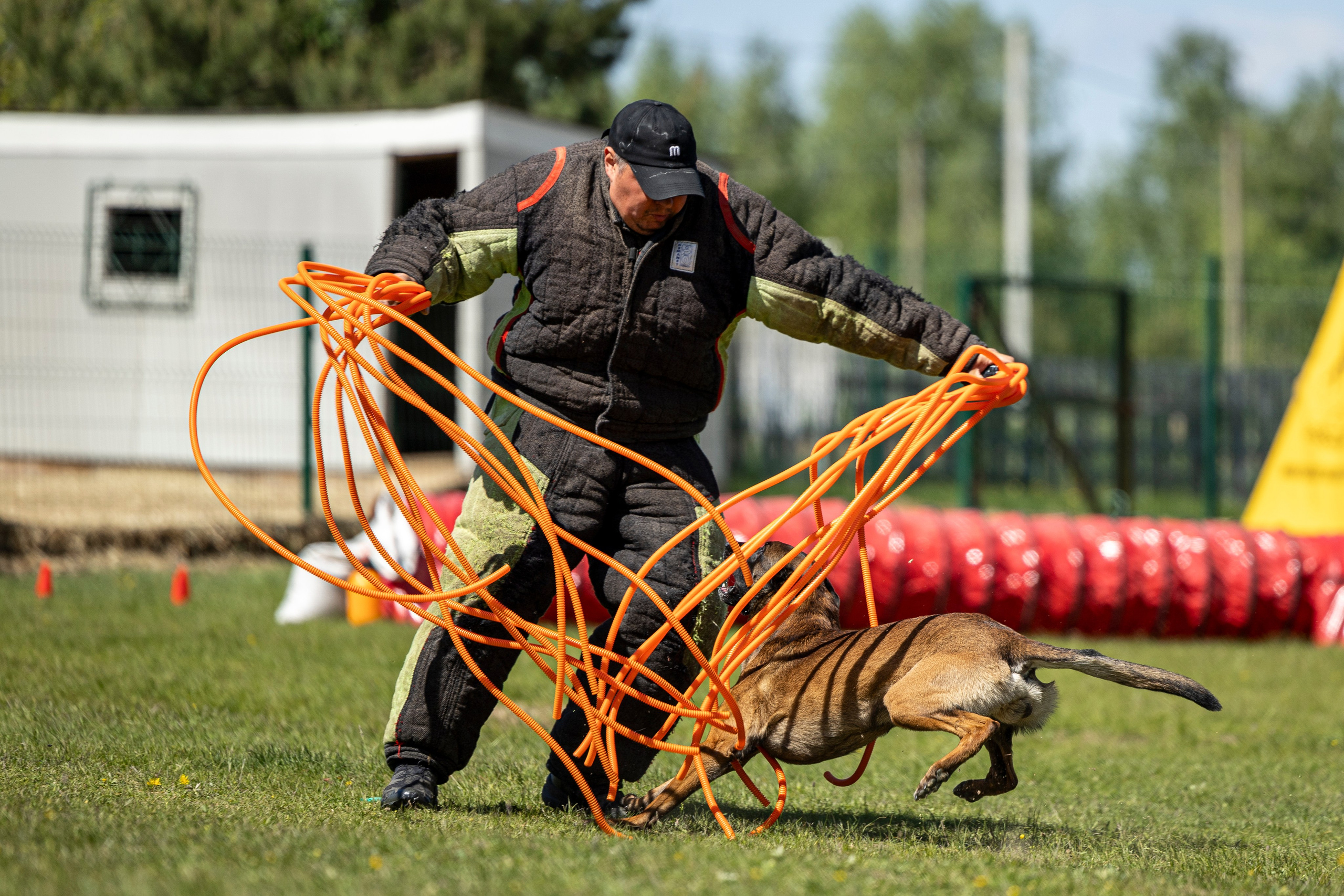 Испытания по мондьорингу в Нижнем Новгороде. Фотограф-анималист Анна Маринич