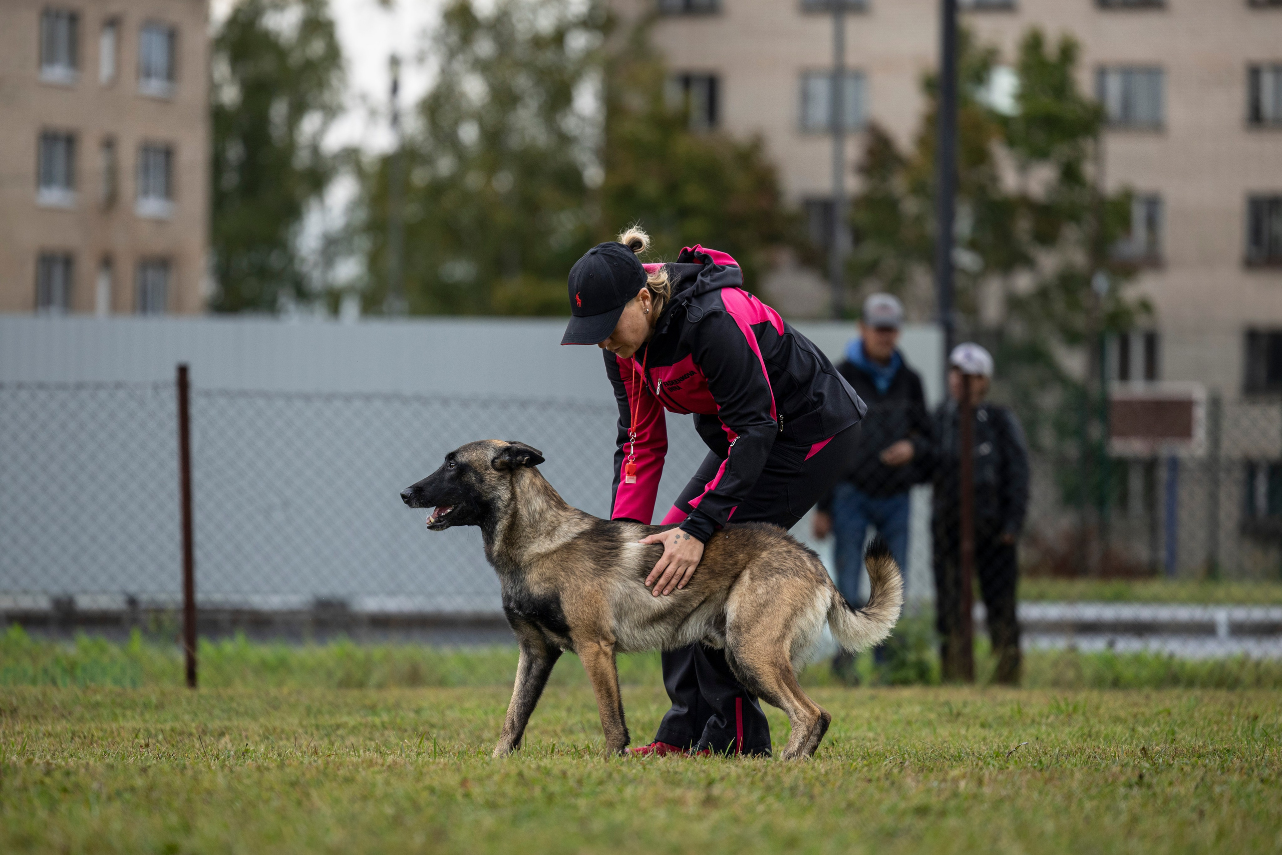 Испытания по Мондьорингу г. Пушкин. Фотограф-анималист Анна Маринич