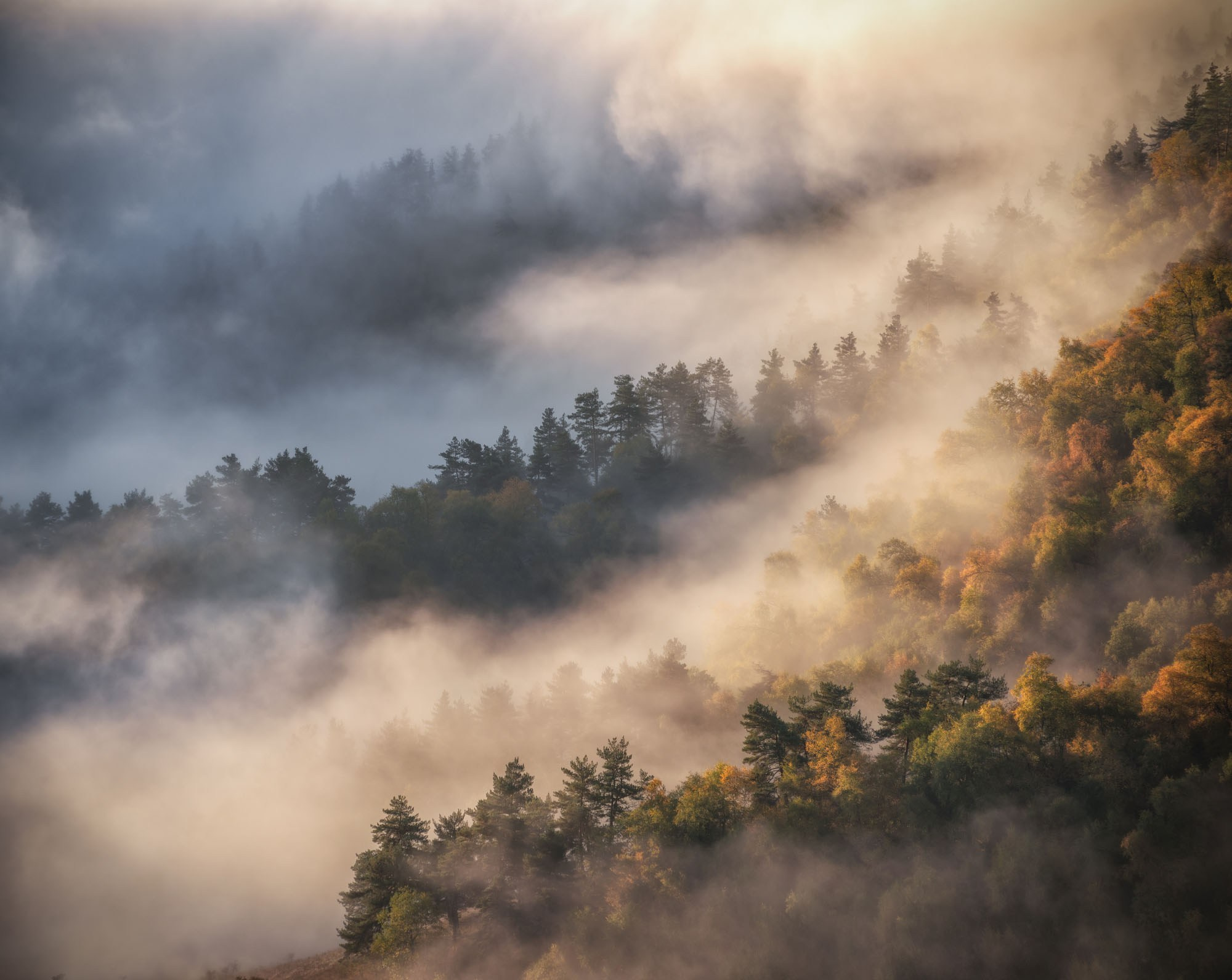 Фотографии Ингушетия