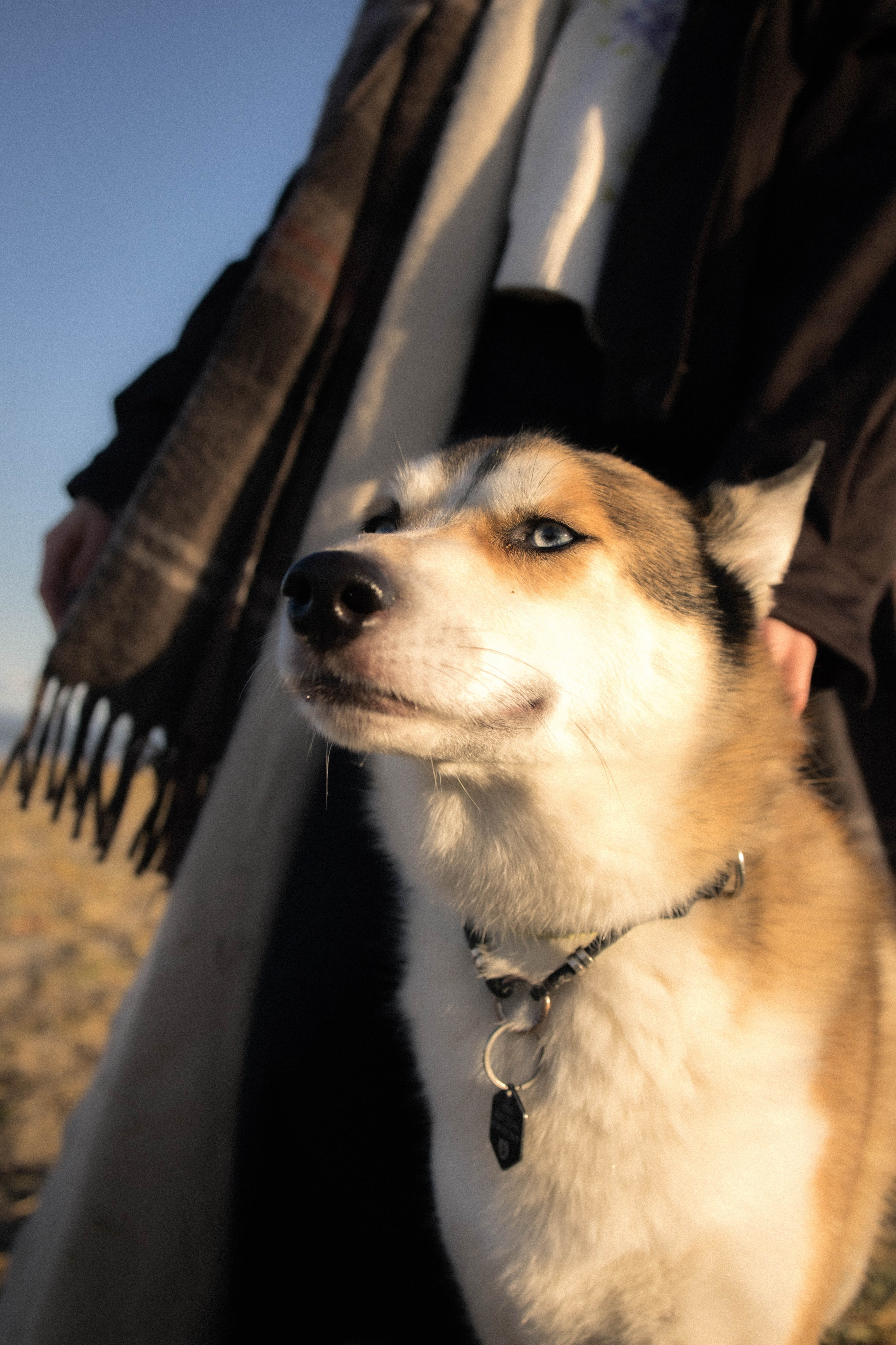 Анастасия и Читос. Фотограф Виктория Куприянова