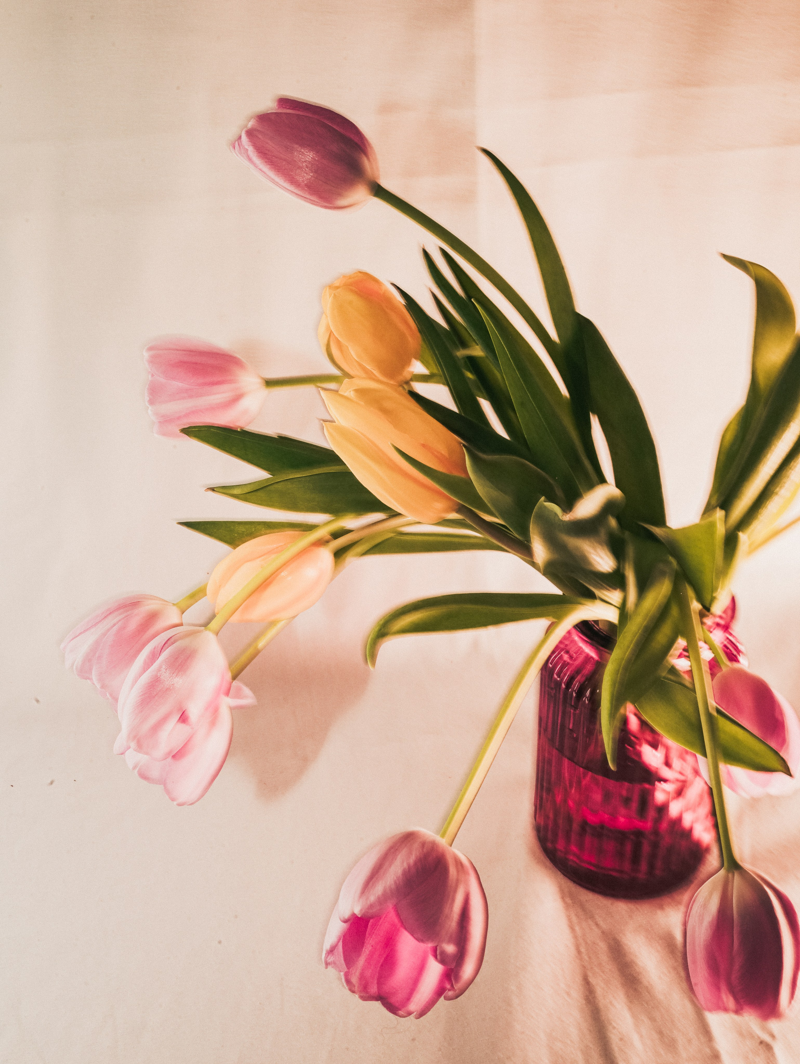 Природа &. Фотохудожник в СПб