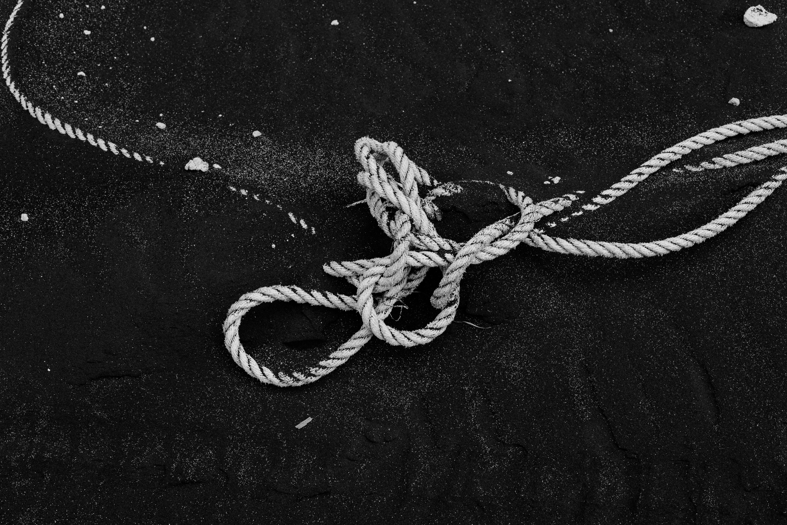 Portfolio. @beingabird.photography