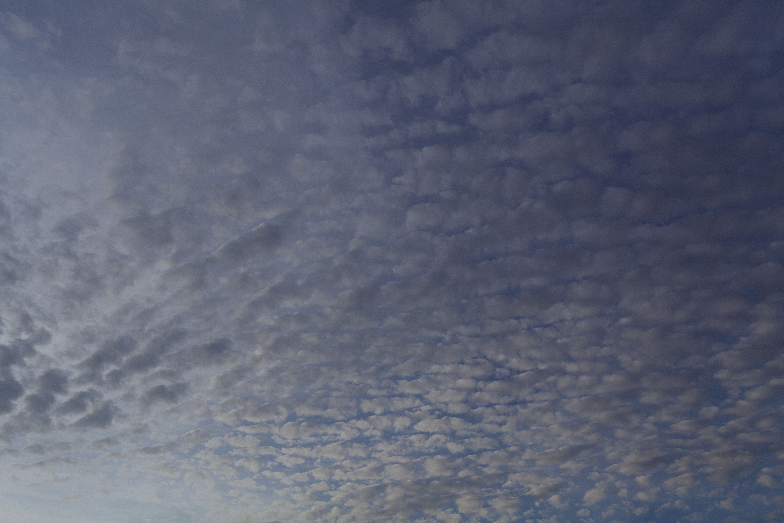 Детский портрет. Меня зовут Филатова Юлия и я фотографирую женский портрет, семейные съемки, детей в МО и Москве