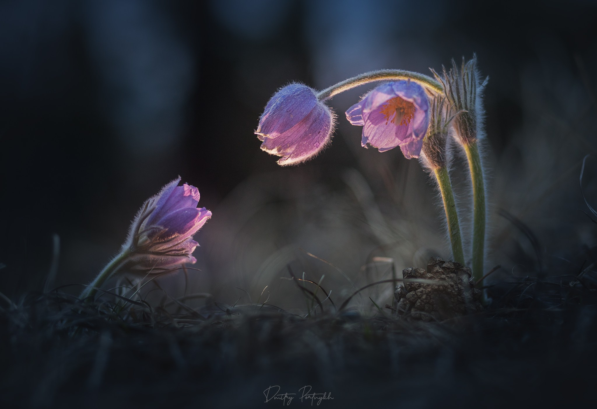 Пейзажный фотограф | Чита. Фотограф Дмитрий Портных | Чита