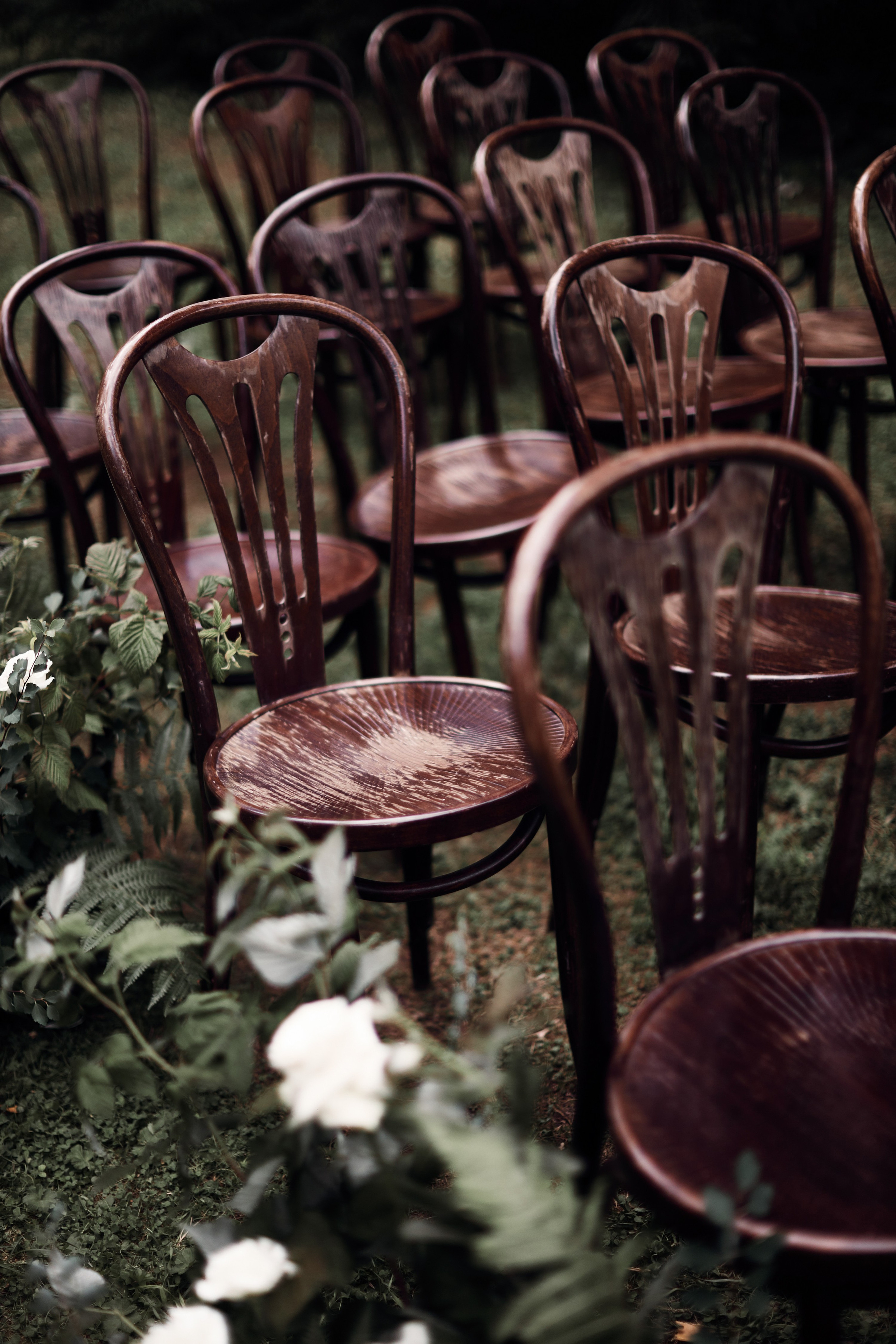 Forest mystery. Свадебный фотограф в Москве Ольга Коржова