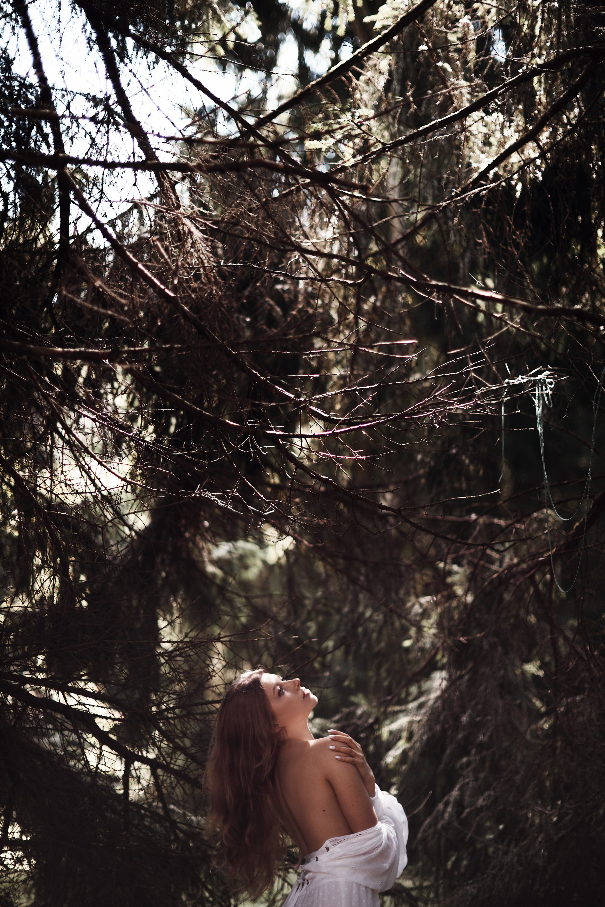 Forest mystery. Свадебный фотограф в Москве Ольга Коржова