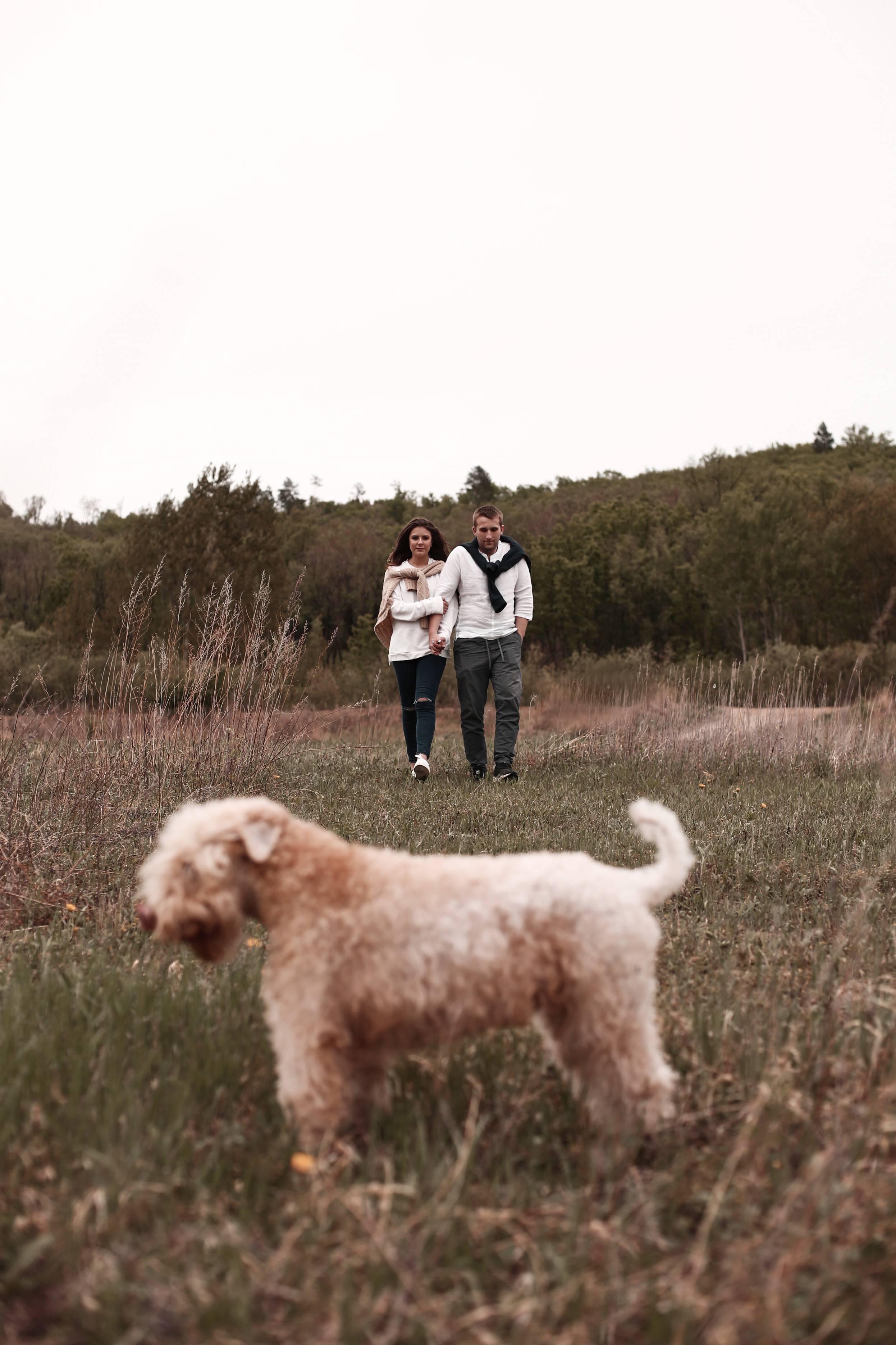 Dog. Свадебный фотограф в Москве Ольга Коржова