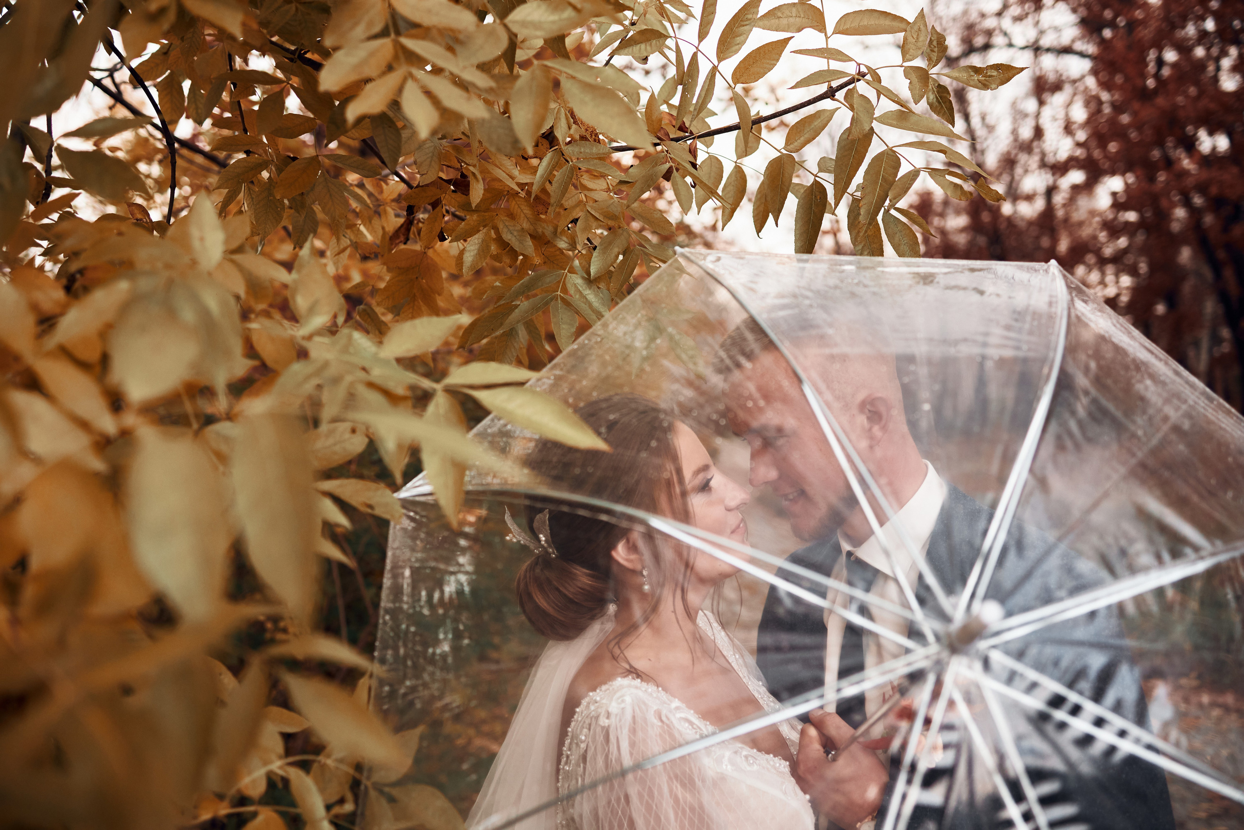 Kitten. Свадебный фотограф в Москве Ольга Коржова