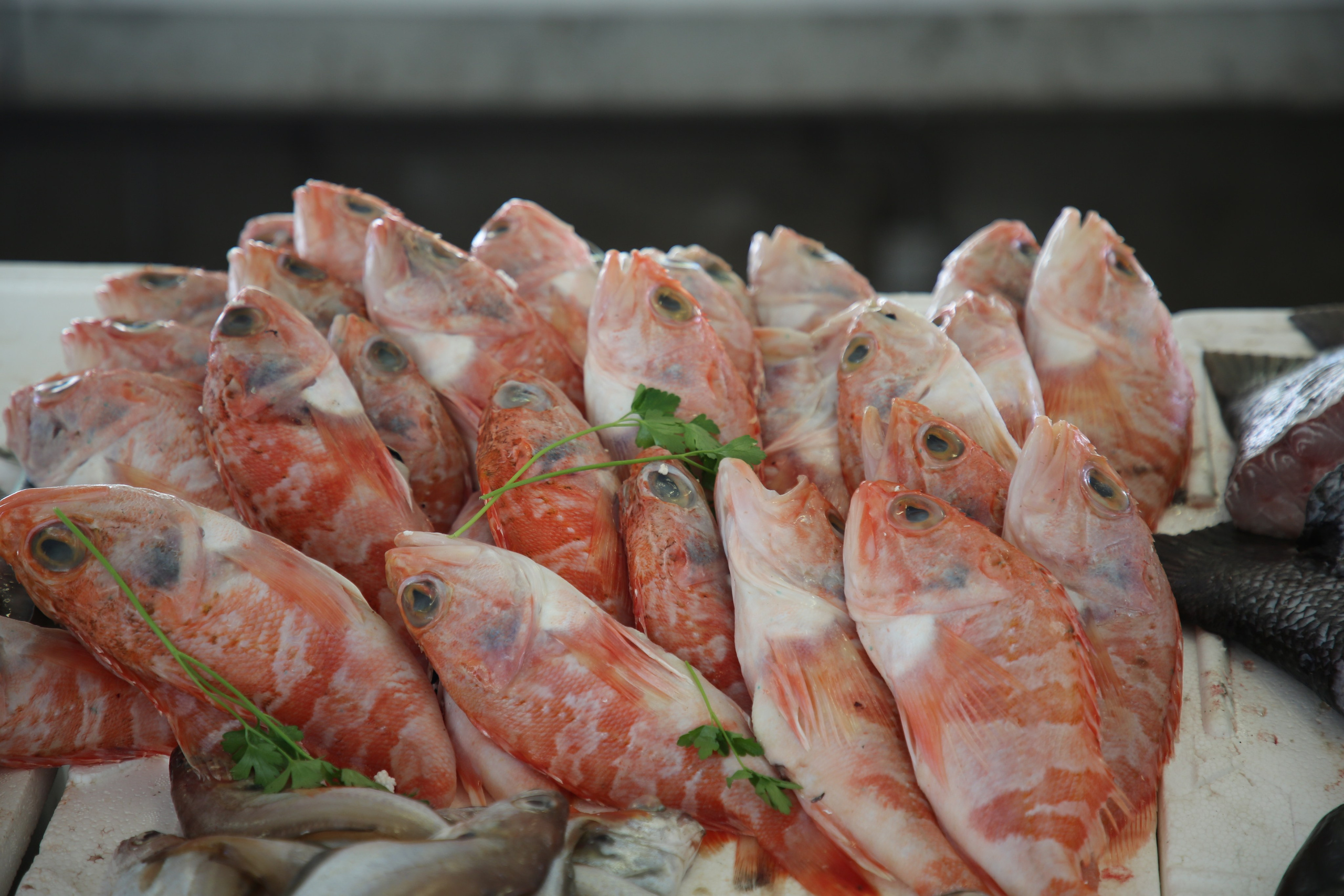 Espihnio, Portugal. Andrey Filippov Photographer