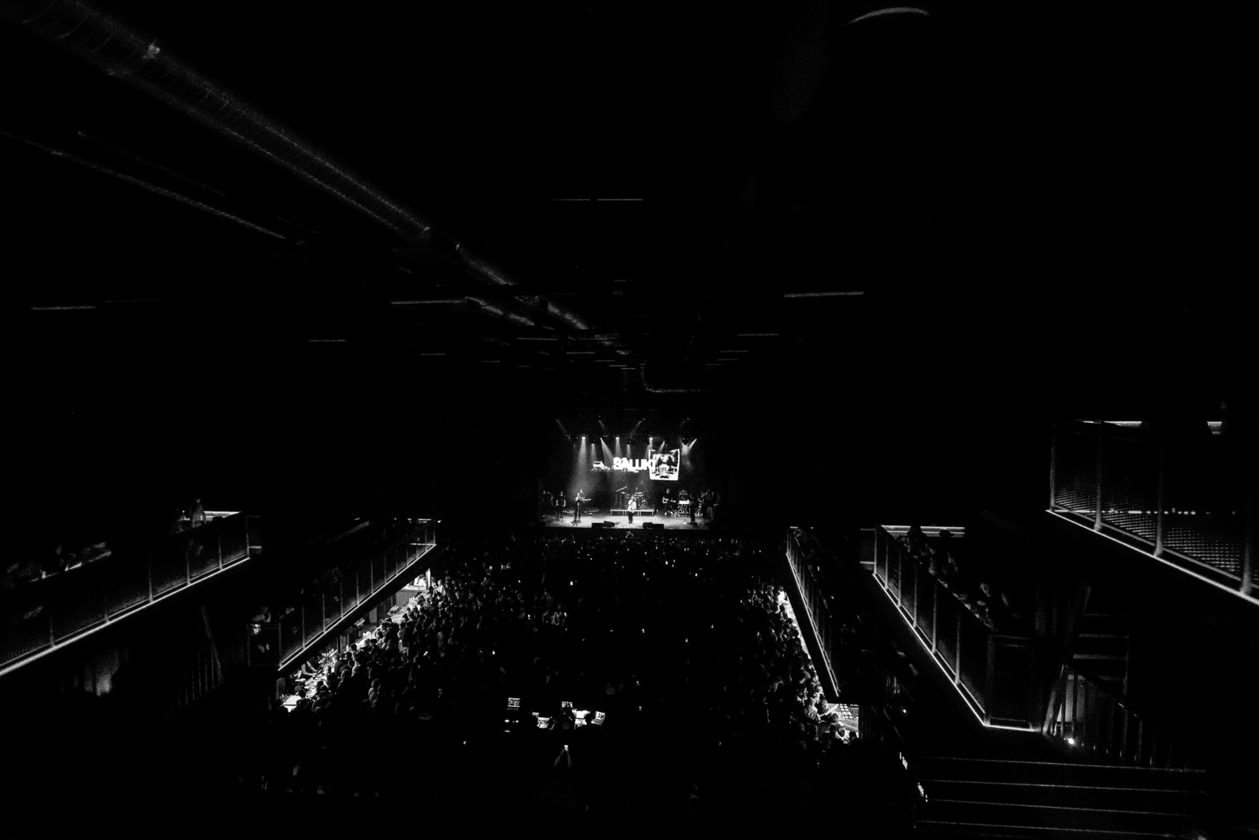 САЛУКИ @1930MOSCOW