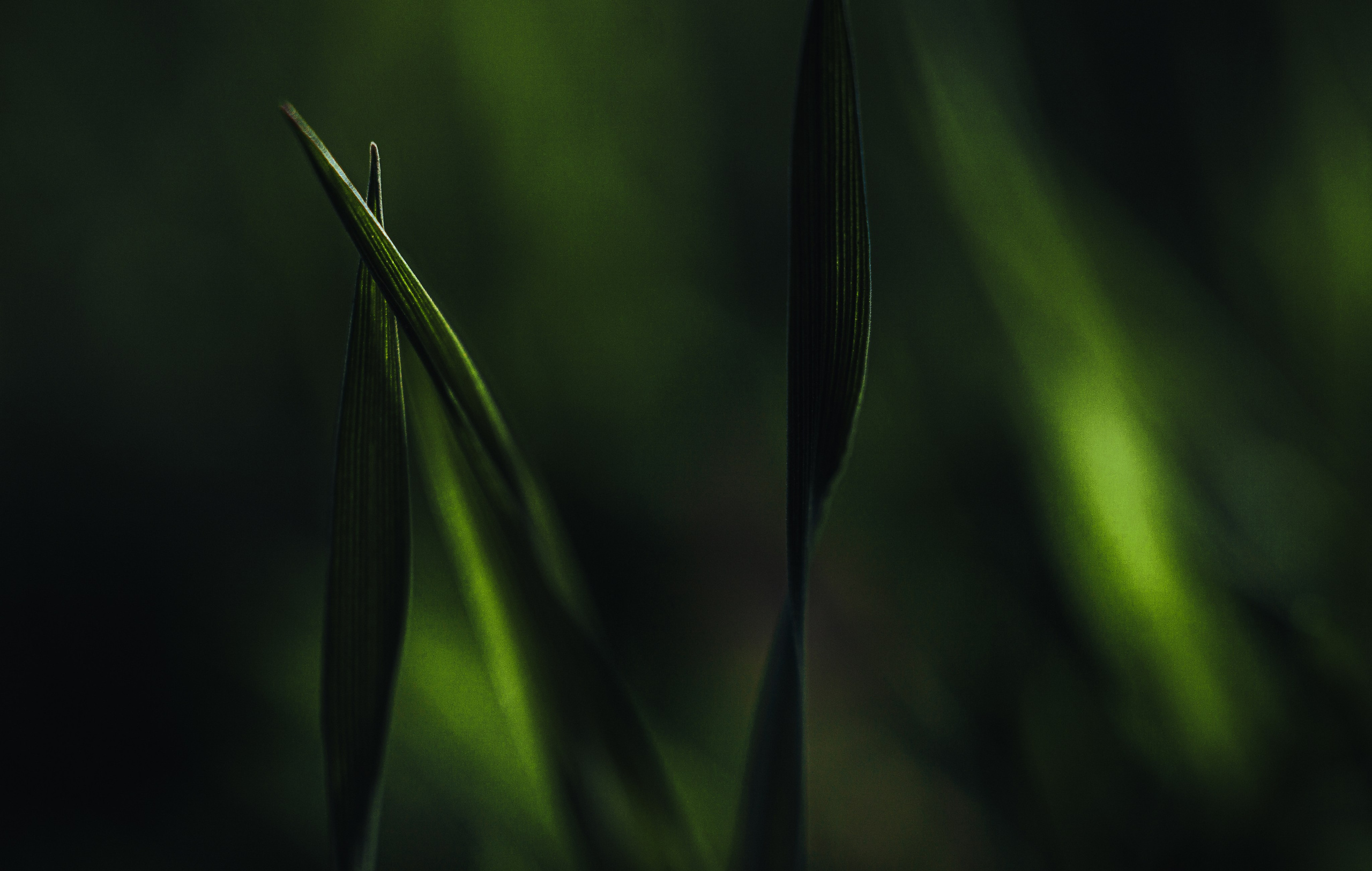 EXHIBITION. Репортажный и интерьерный фотограф, фотохудожник