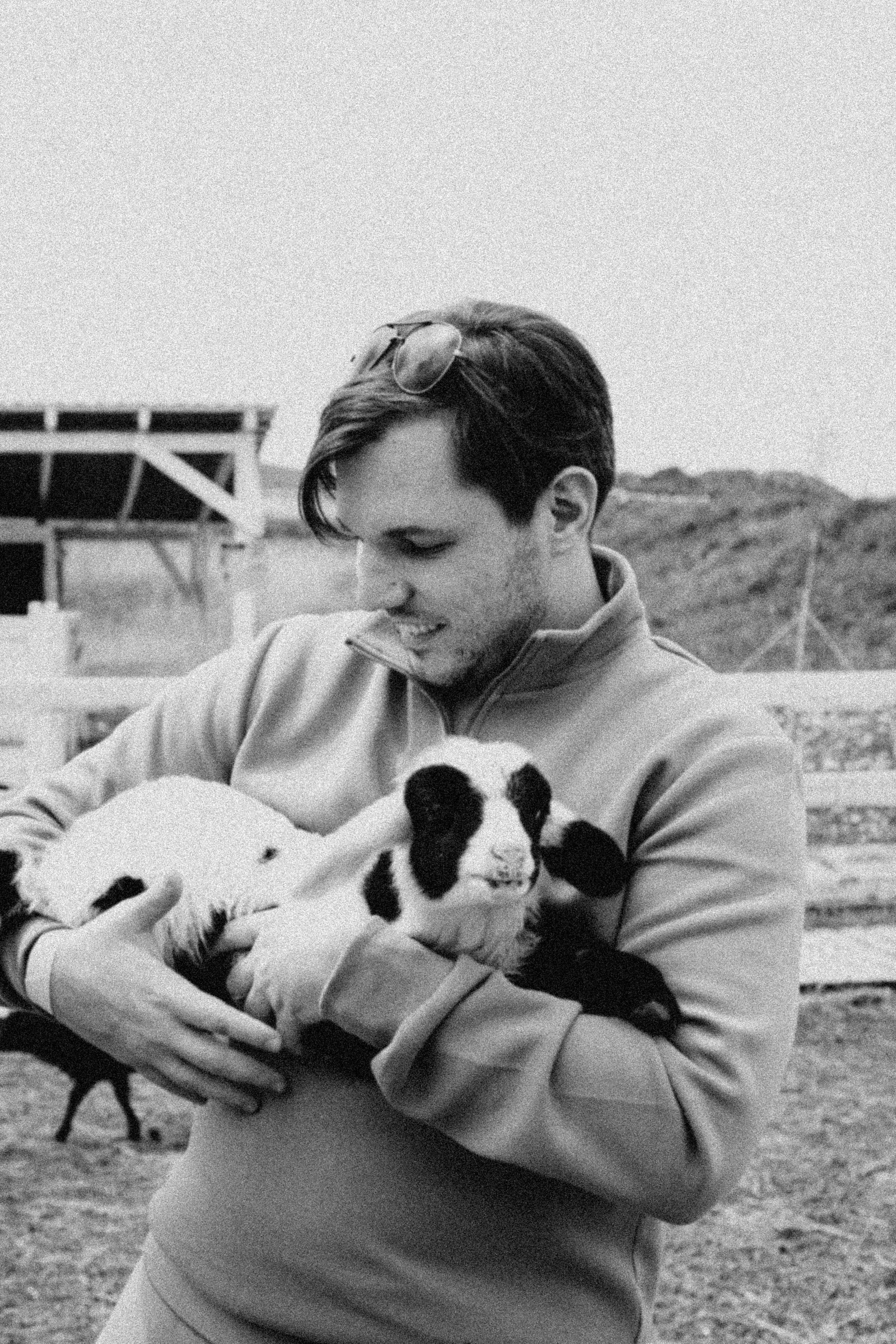 Ферма Альпак. Профессиональный фотограф, Санкт-Петербург — Виктория Богомолова