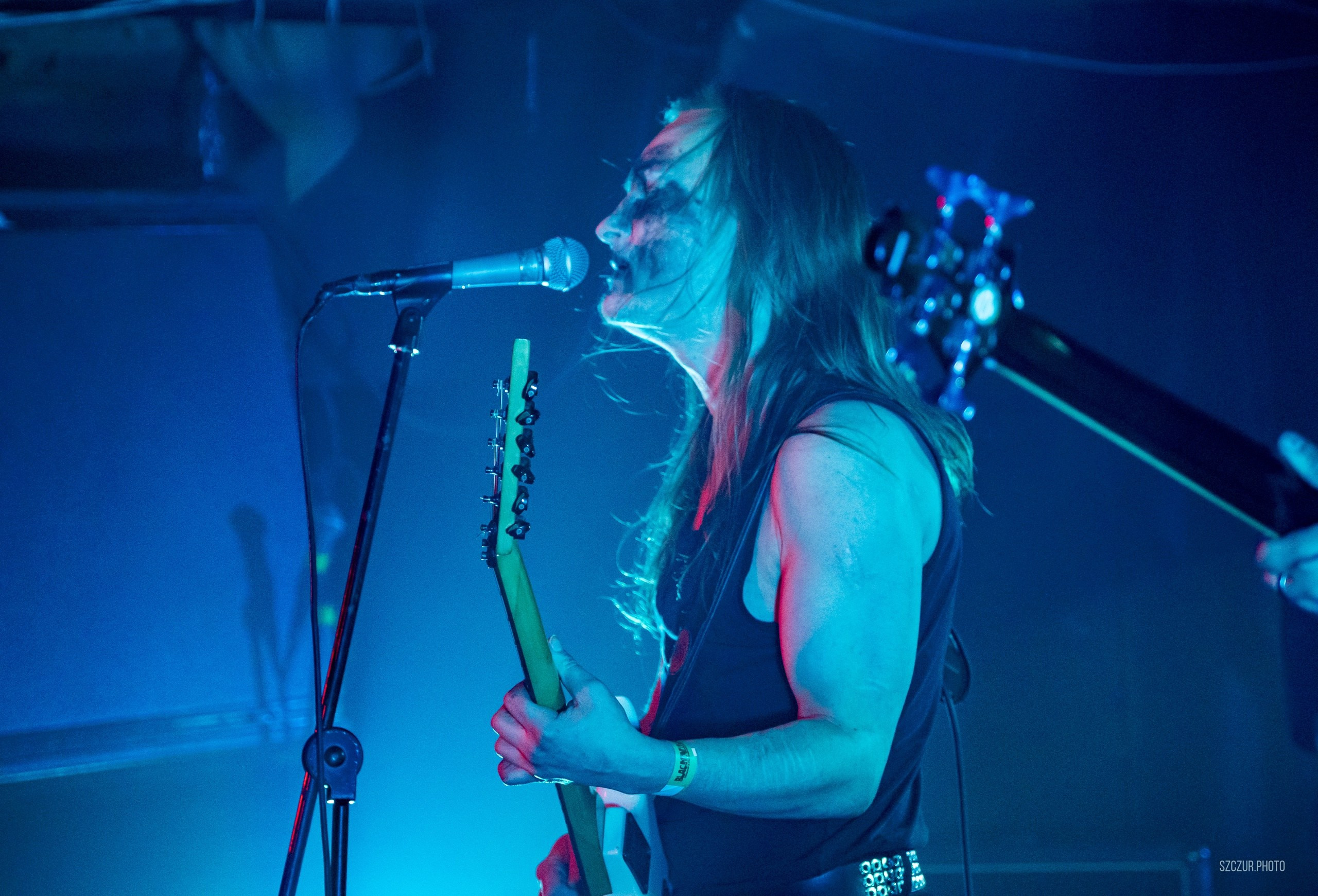 Волчьи Трупы в Городе 6.01.25. Szczur photo